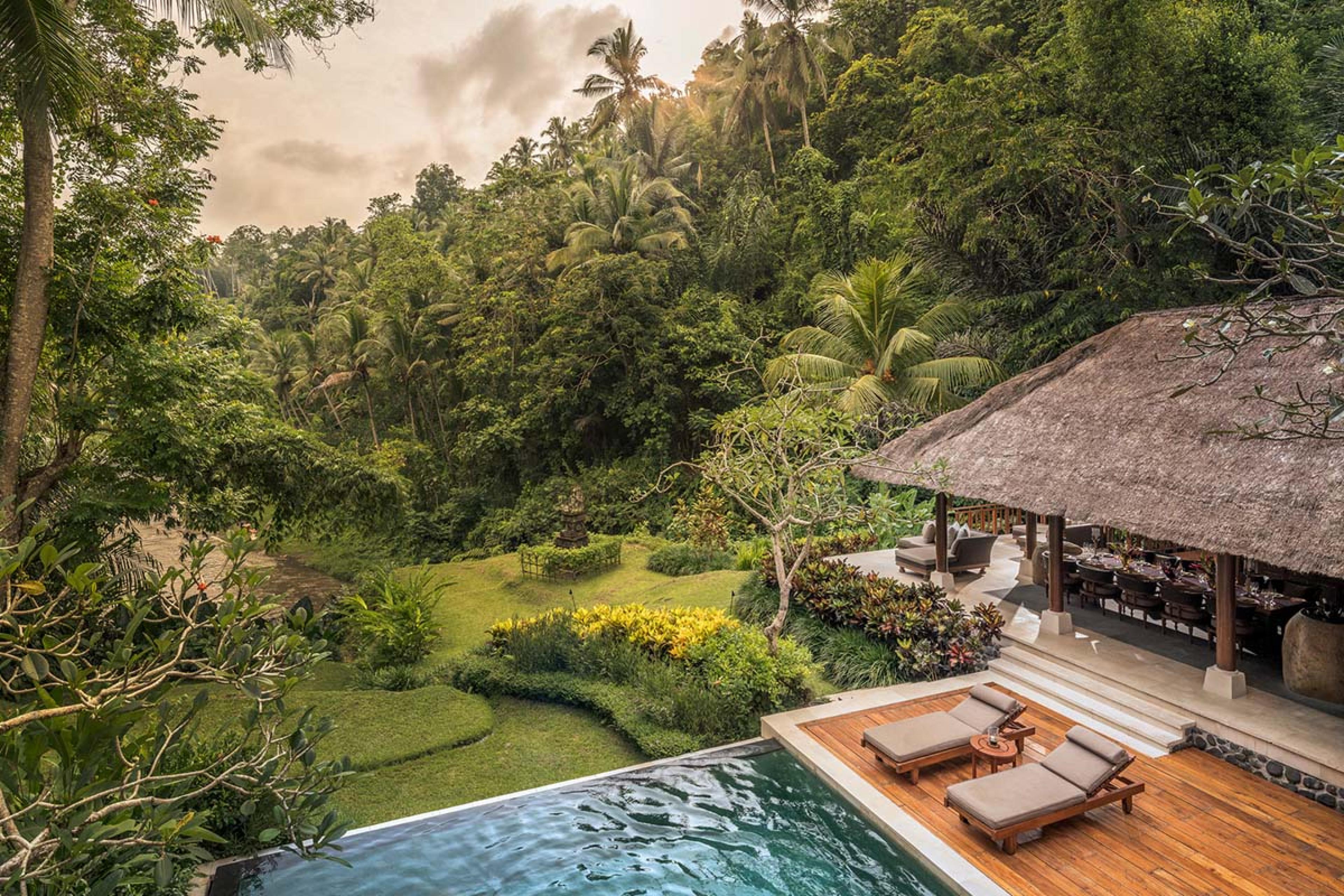 thatched roof cottage with a plunge pool looking out on a green jungle