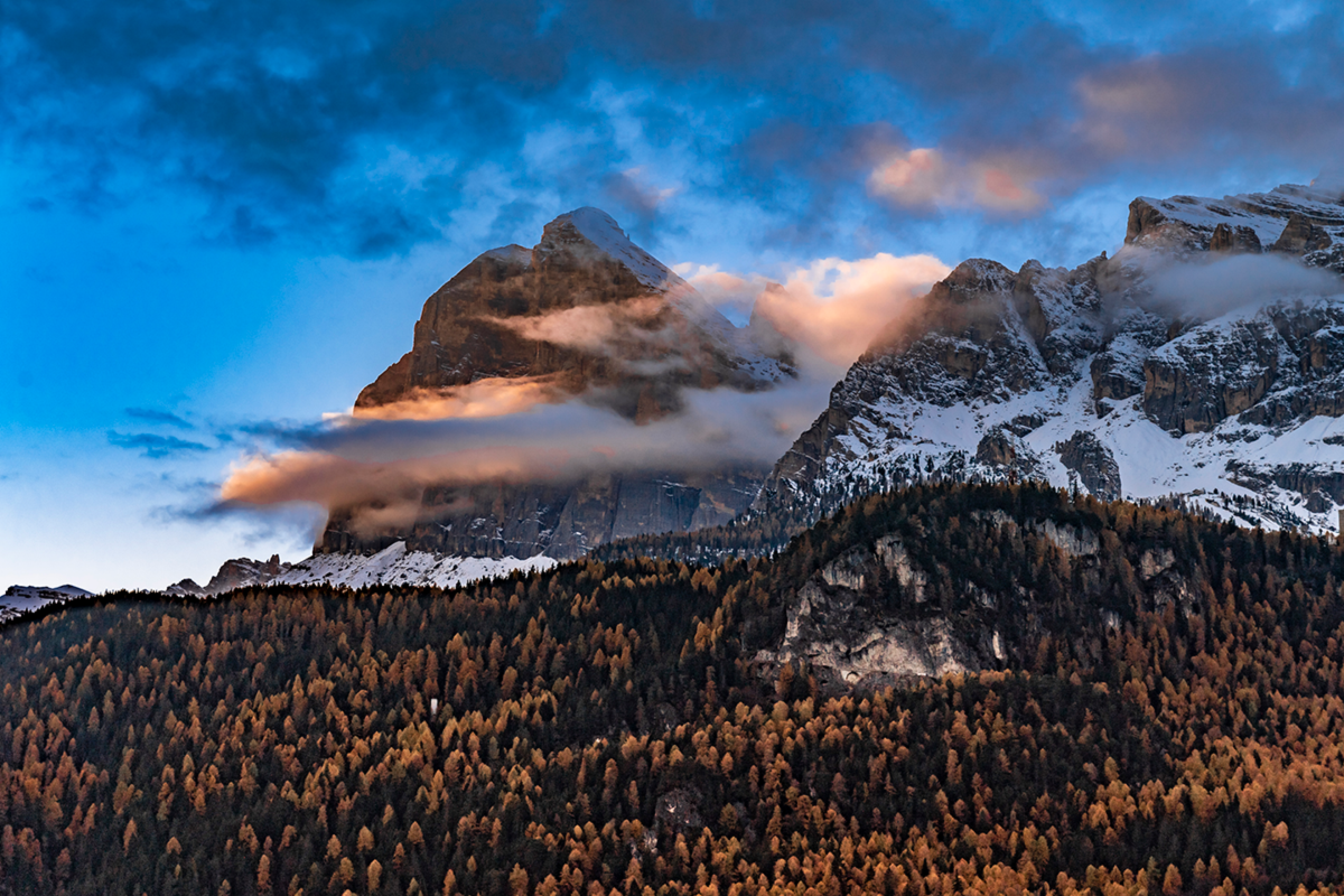 CORTINA PACQUARD PALO ROSA