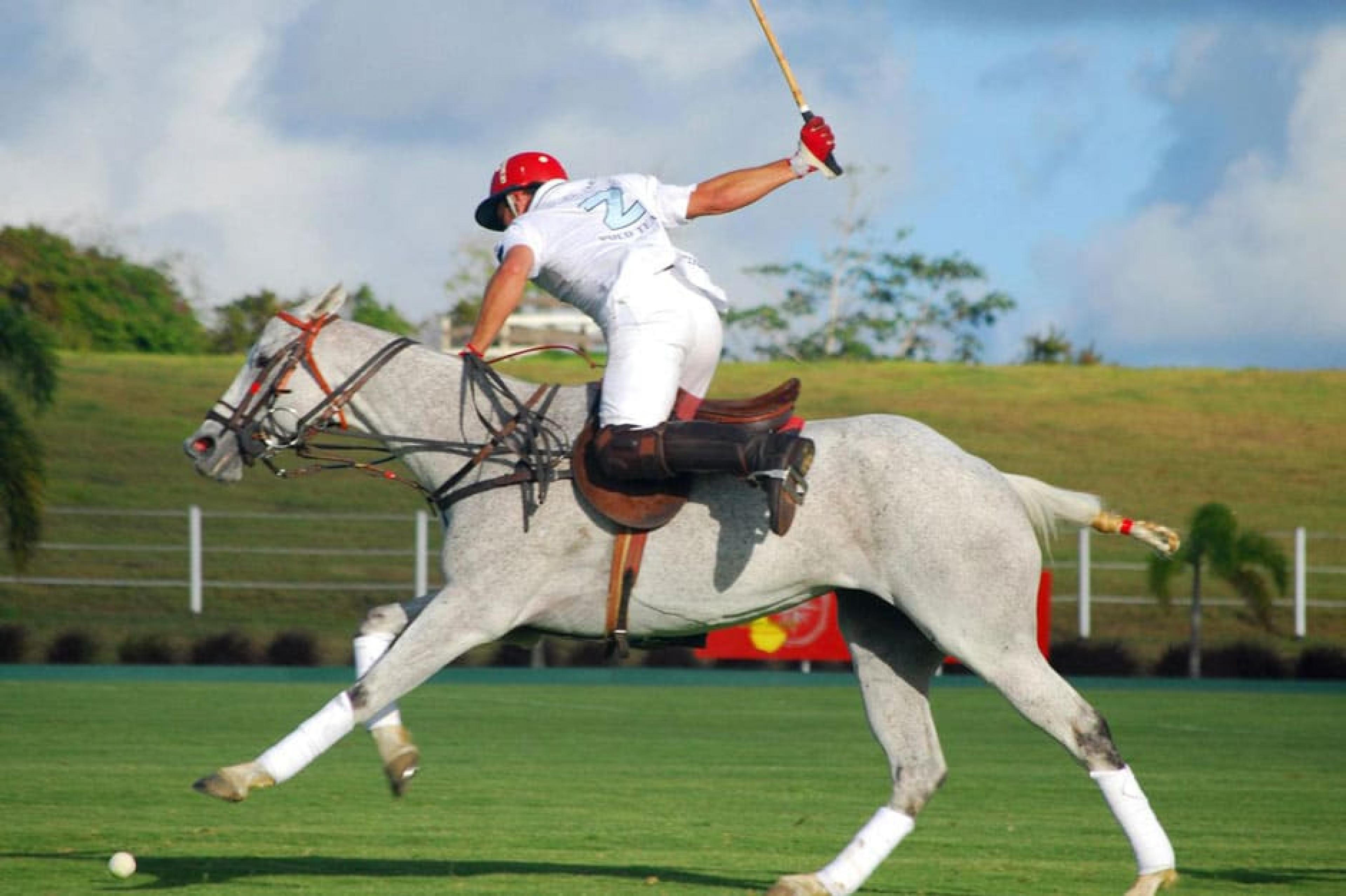 Horse Riding at Polo ,Barbados, Caribbean