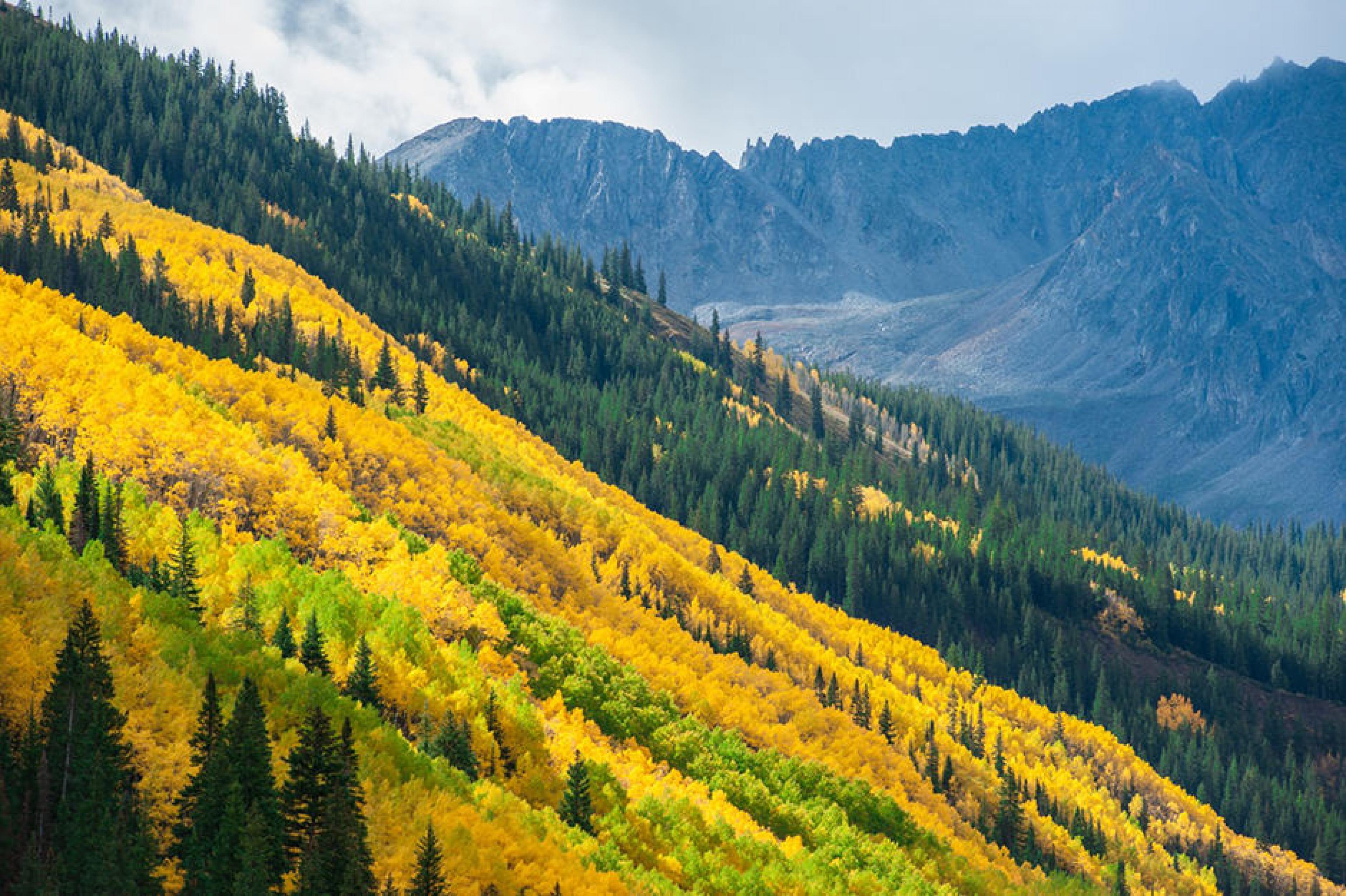 Mountain at Hiking Trails, Aspen, American West 