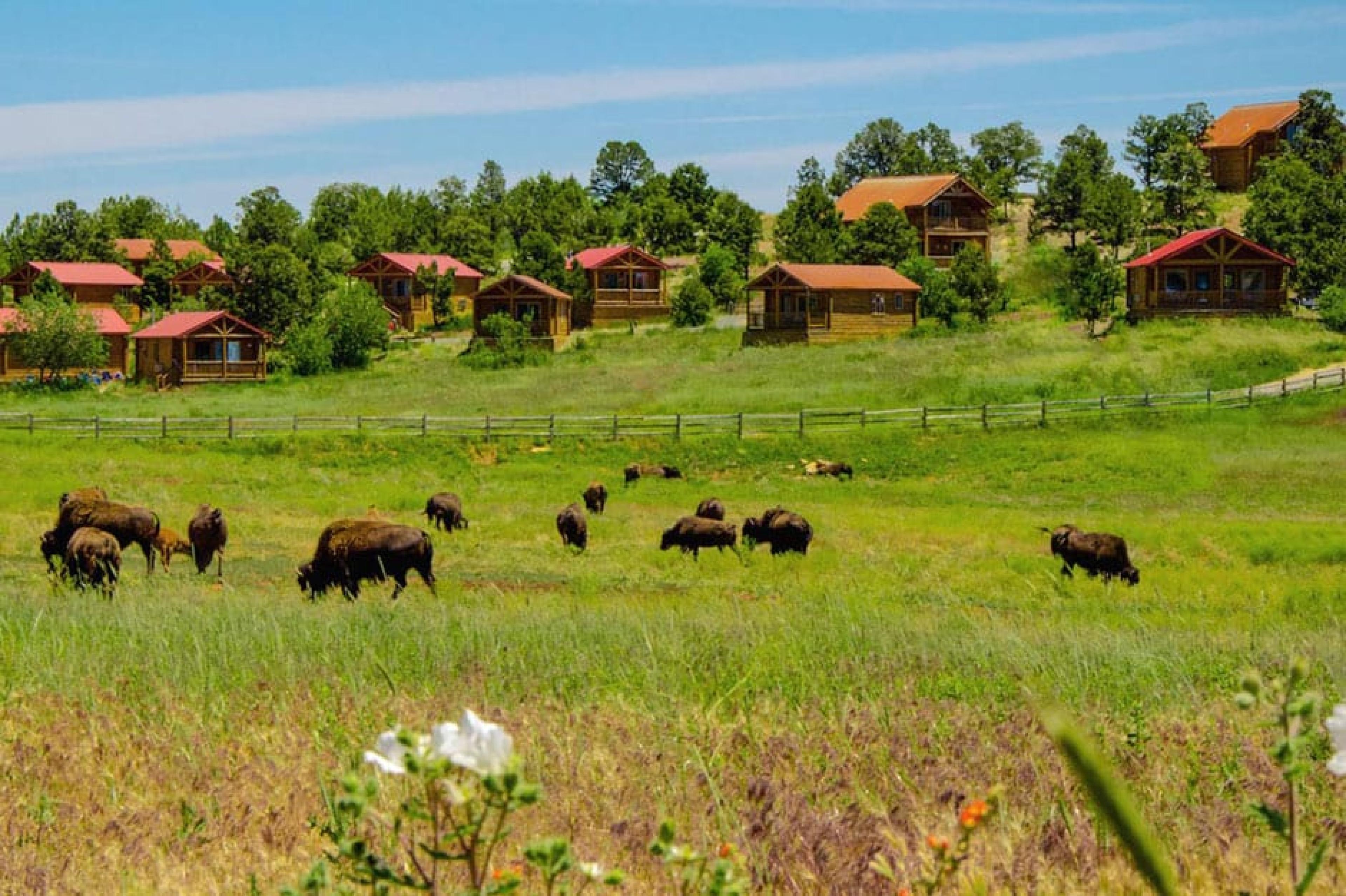 Aerial View - Zion Mountain Ranch, Utah, American West