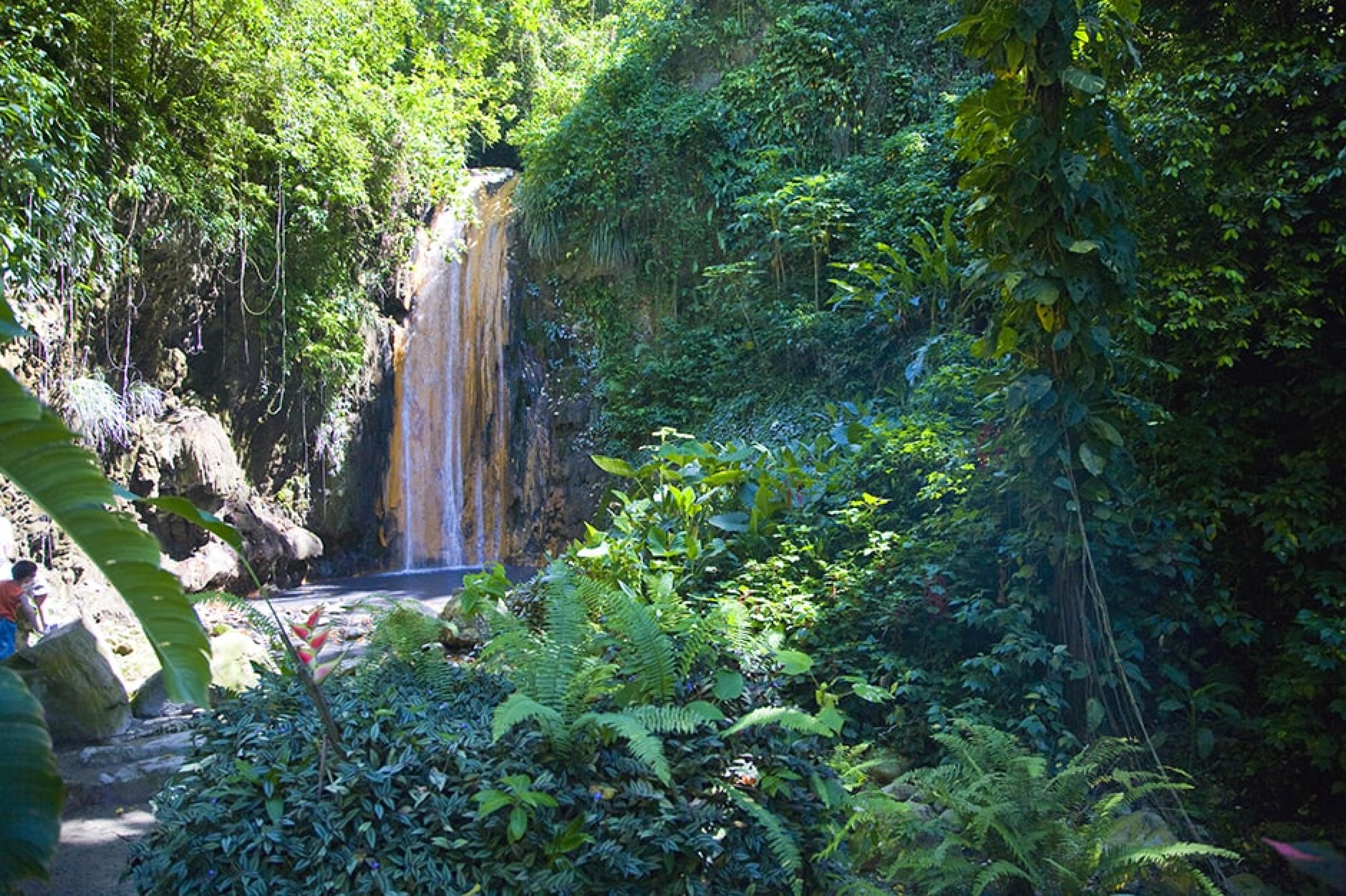Waterfall at  Diamond Falls Botanical Gardens, St. Lucia, Caribbean