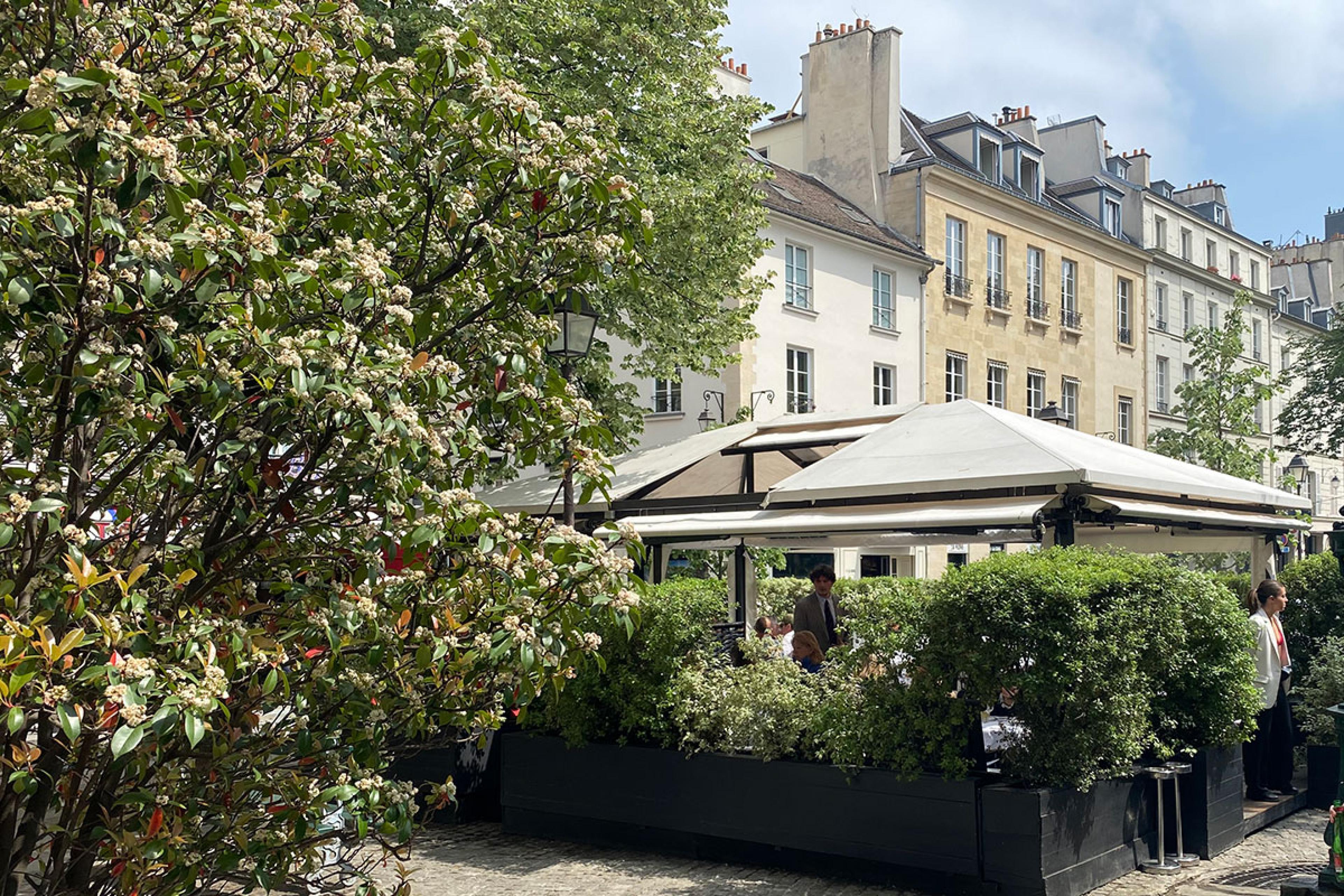 La Societe Paris resturant garden seating