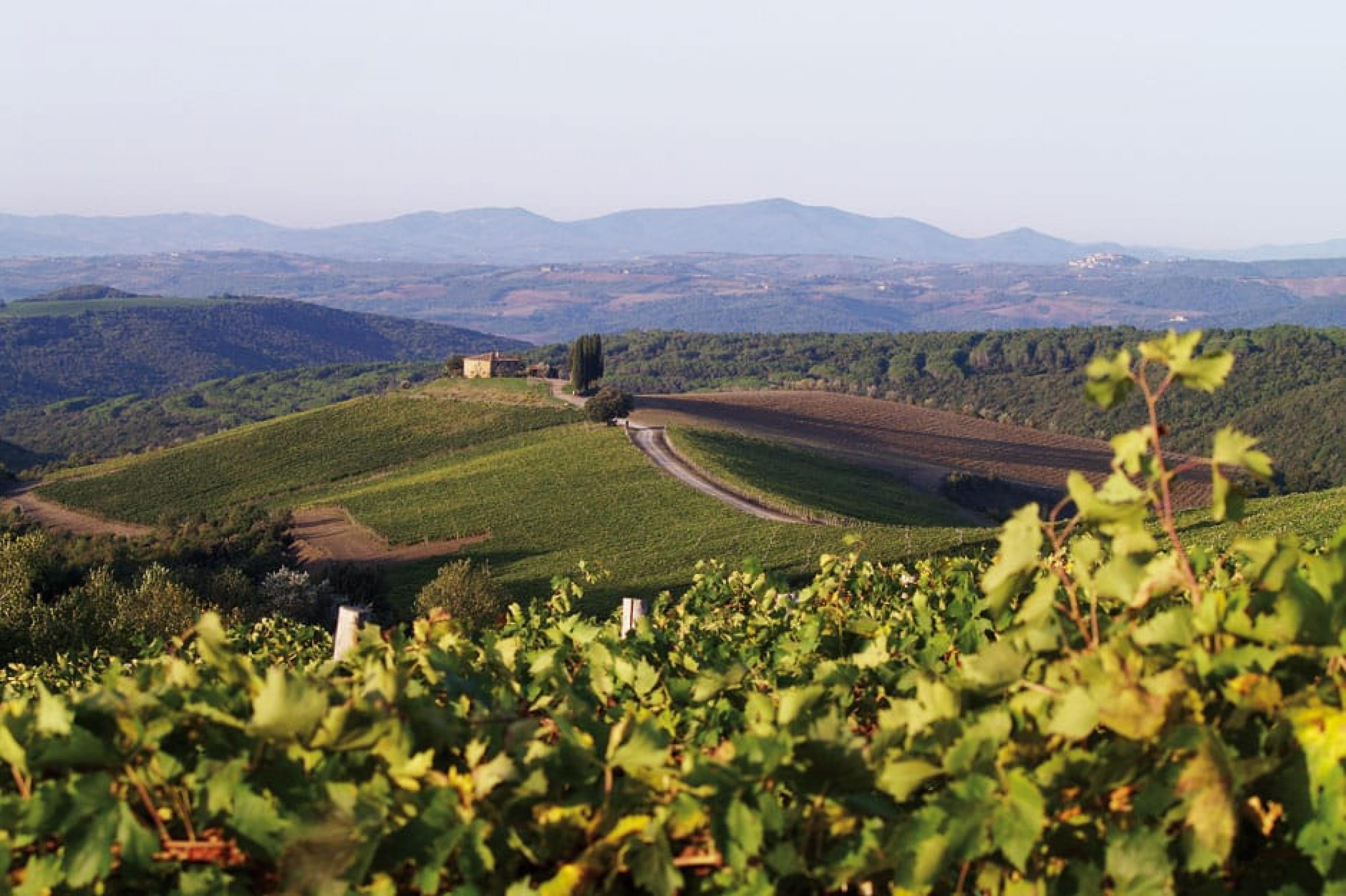 Aerial View - Custom Wine Itineraries, Tuscany, Italy - Courtesy of Castiglion del Bosco