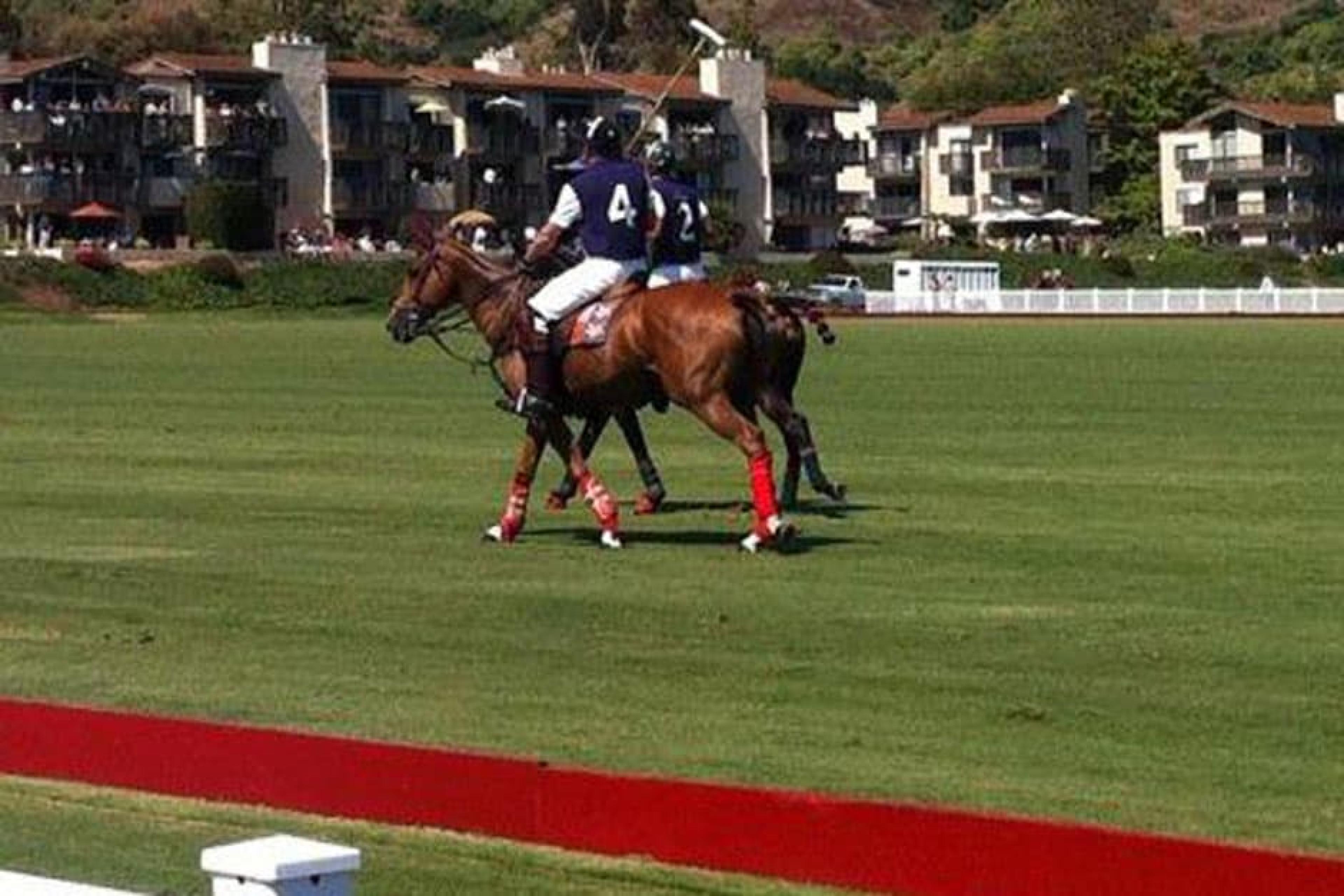 Santa barbara polo hot sale & racquet club borse