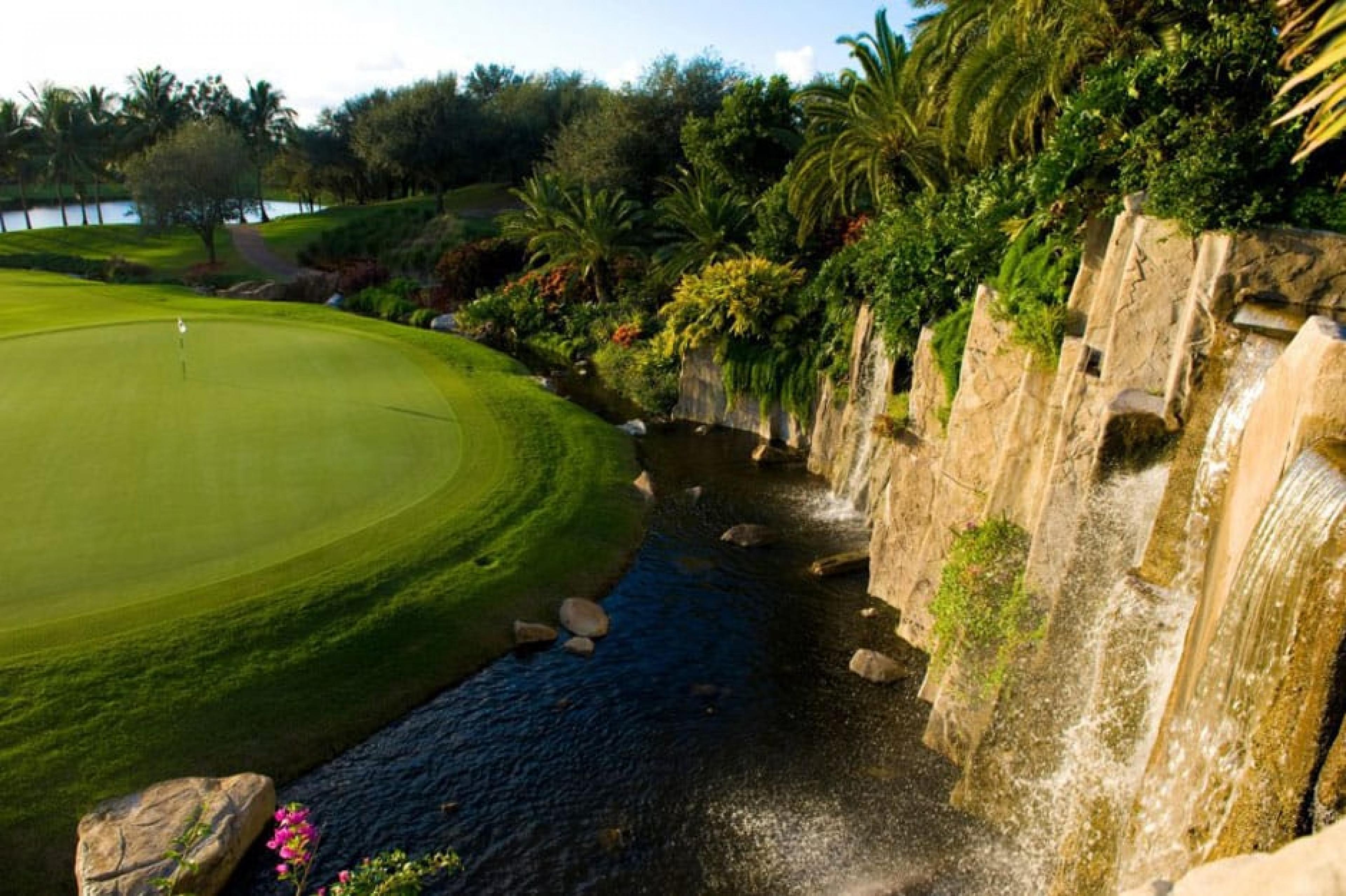 Golf garden at Golf: Trump International Golf Club , Palm Beach, Florida