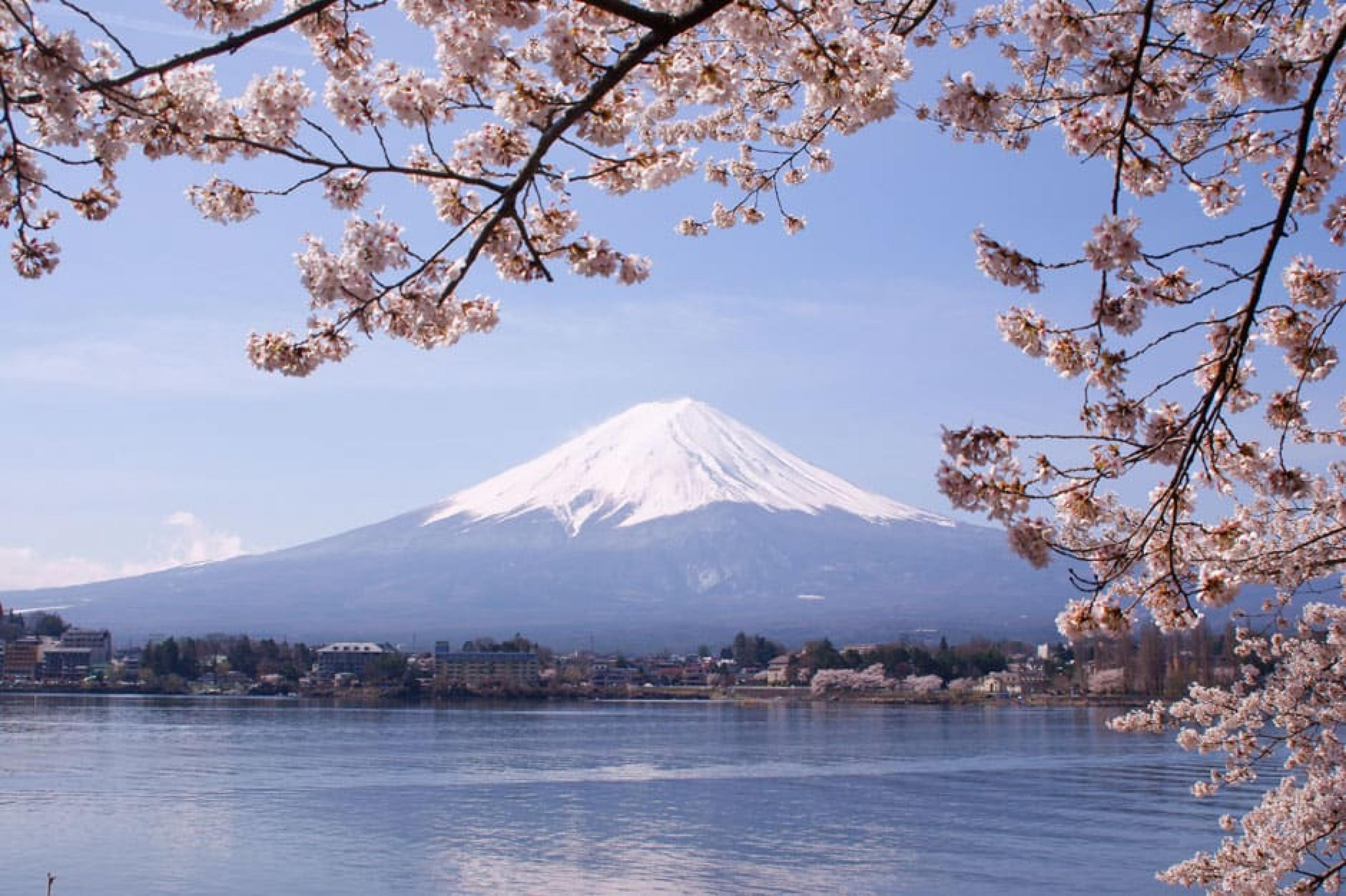 Mountain veiw - Day Trip: Mount Fuji  ,  Tokyo, Japan  Photo by Mido