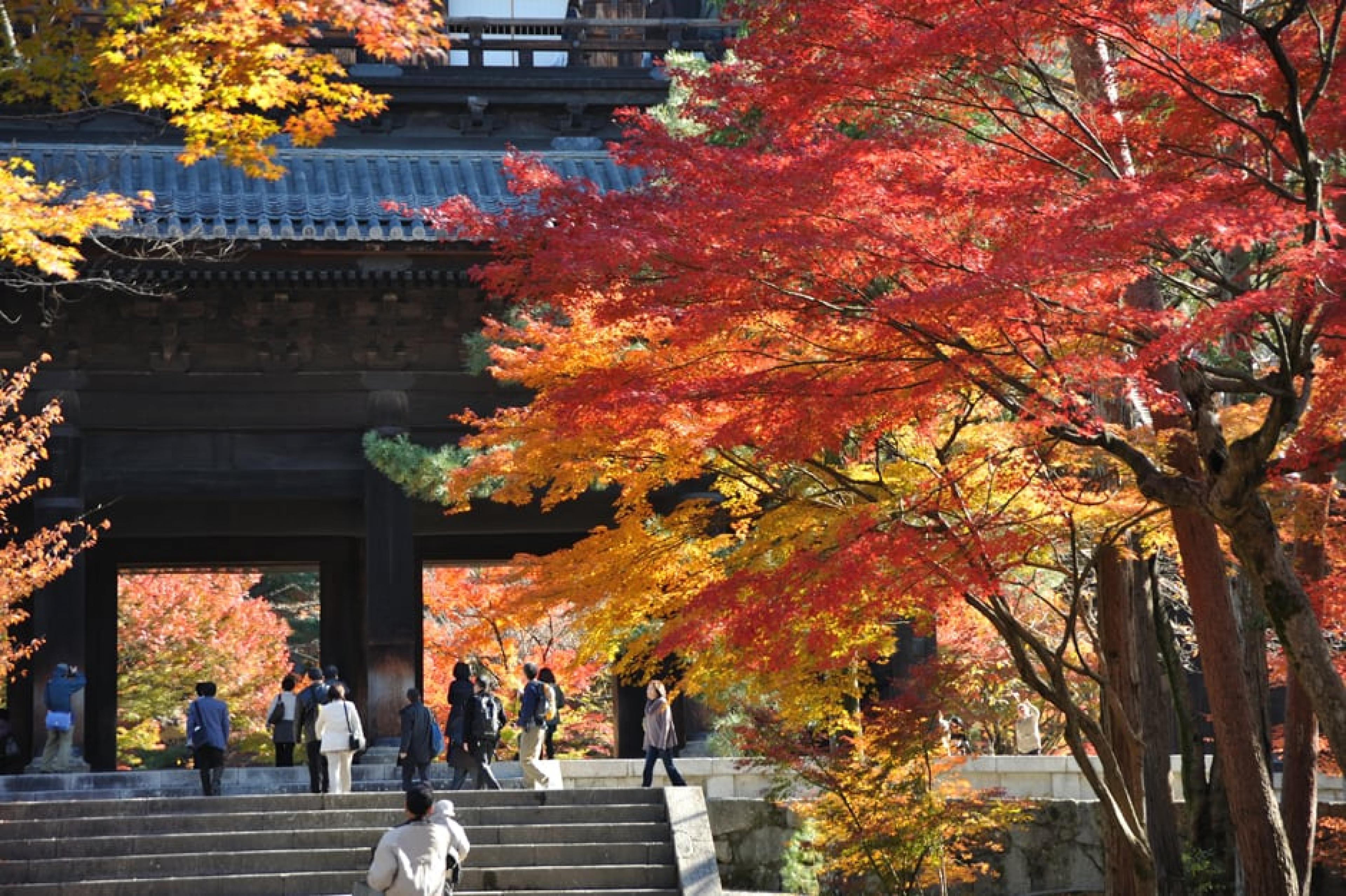 Exterior View - Nanzenji Temple, Kyoto, Japan - Courtesy Takeshi Kuboki