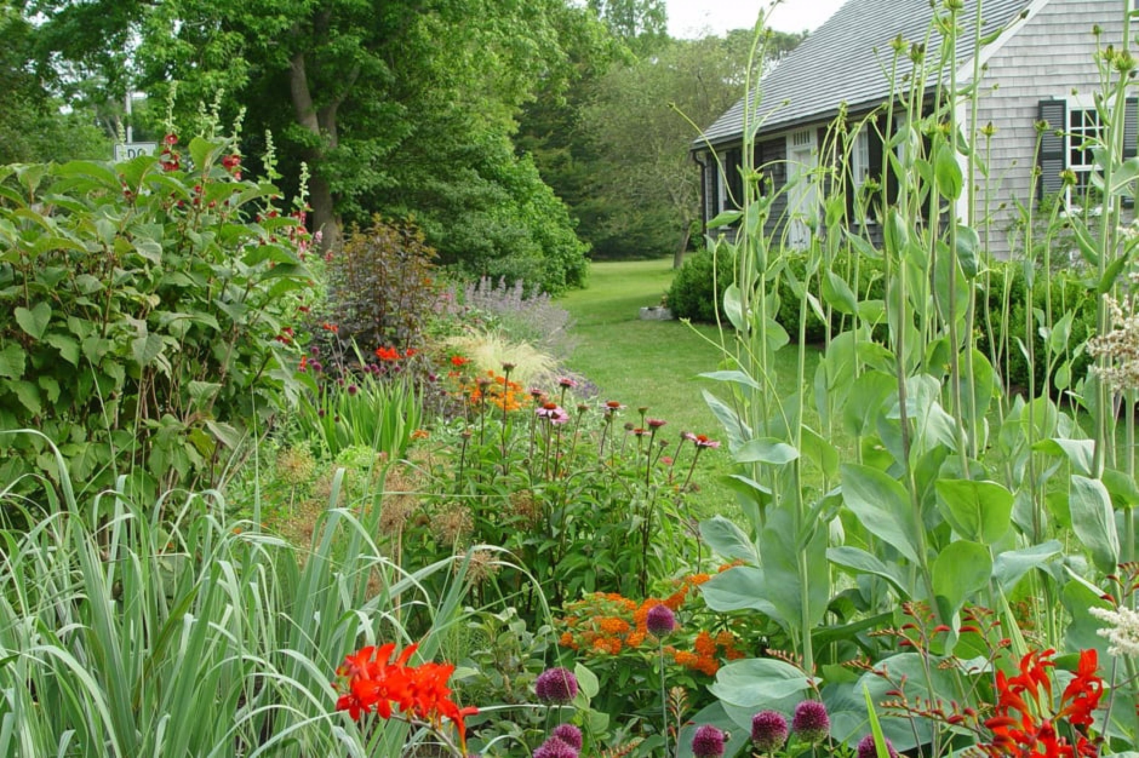 Exterior View - Polly Hill Arboretum, Martha's Vineyard, New England