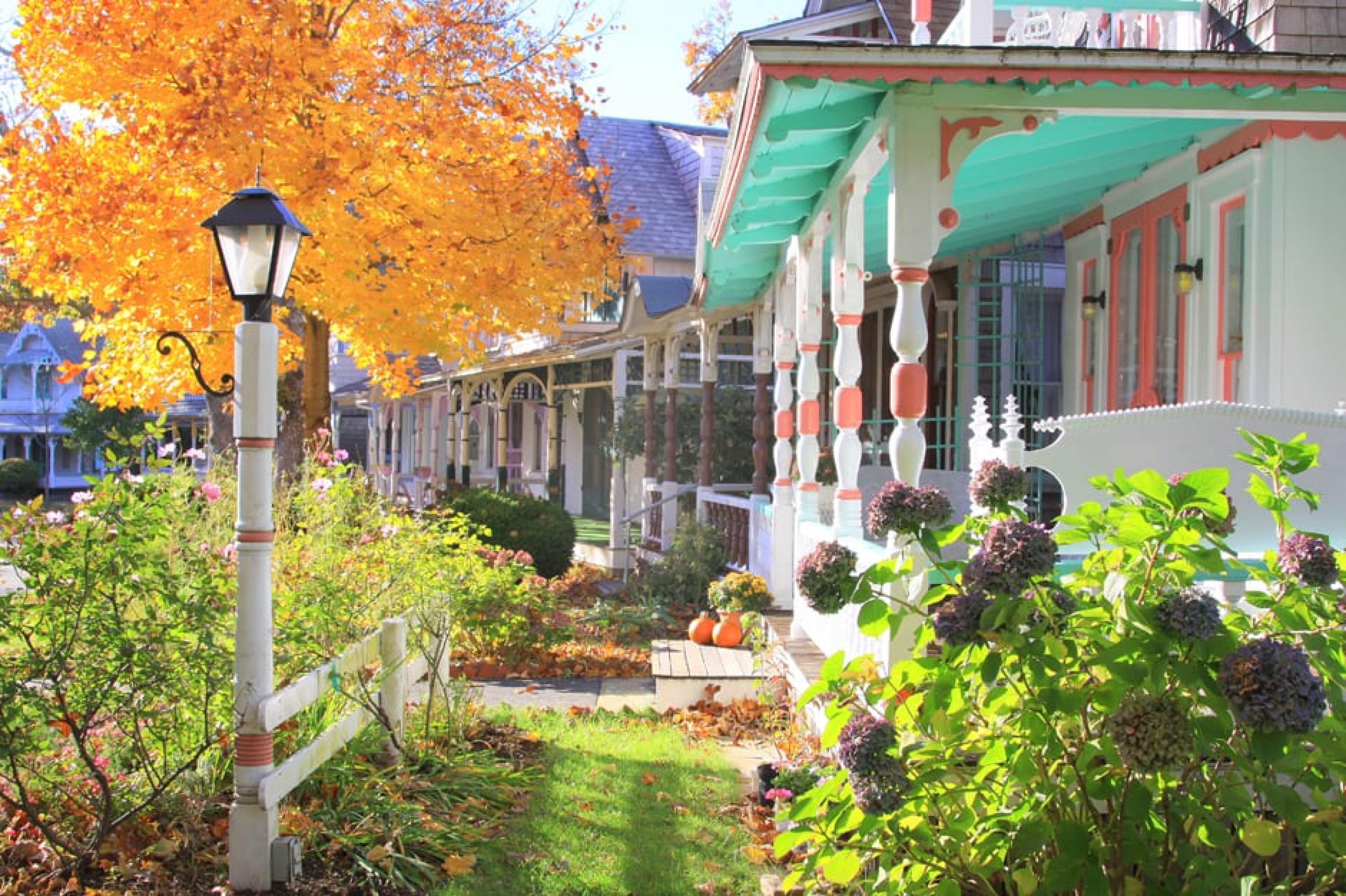 Exterior View - Gingerbread Cottages,Martha's Vineyard, New England - Courtesy of Martha's Vineyard Chamber of Commerce