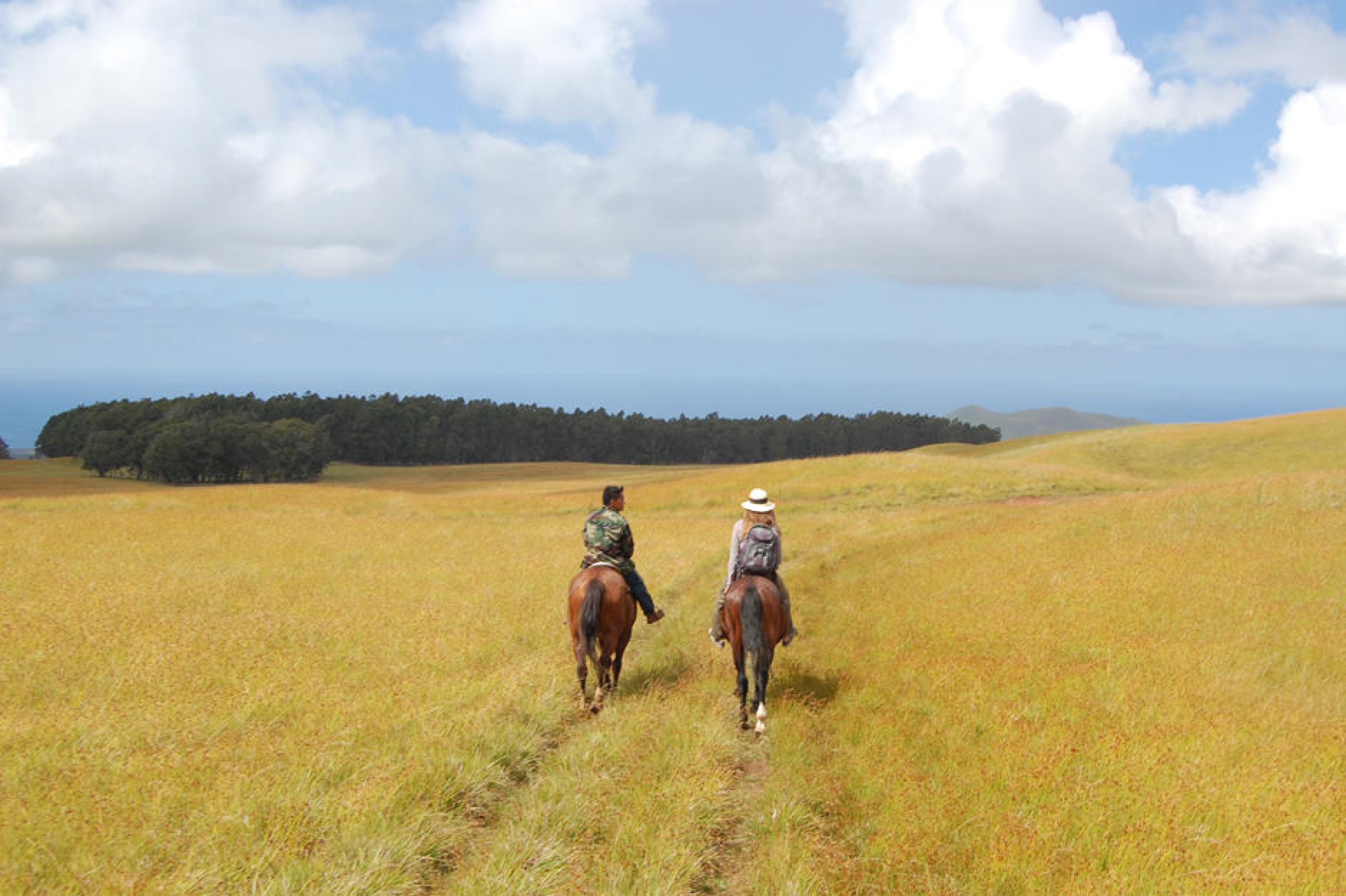 Aerial View - Horseback Riding, Easter Island, Chile
