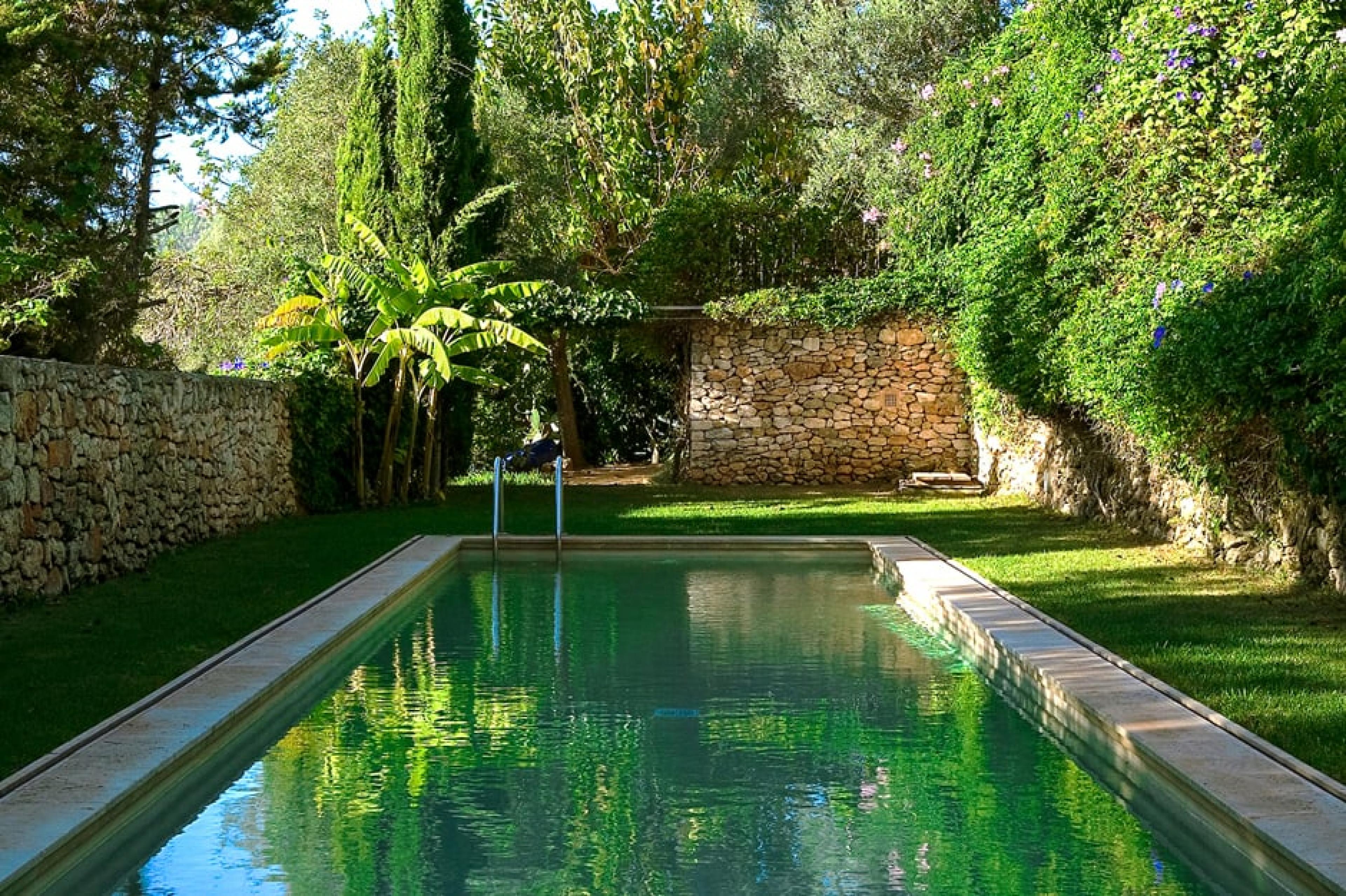 Pool at Les Terrasses, Ibiza, Spain