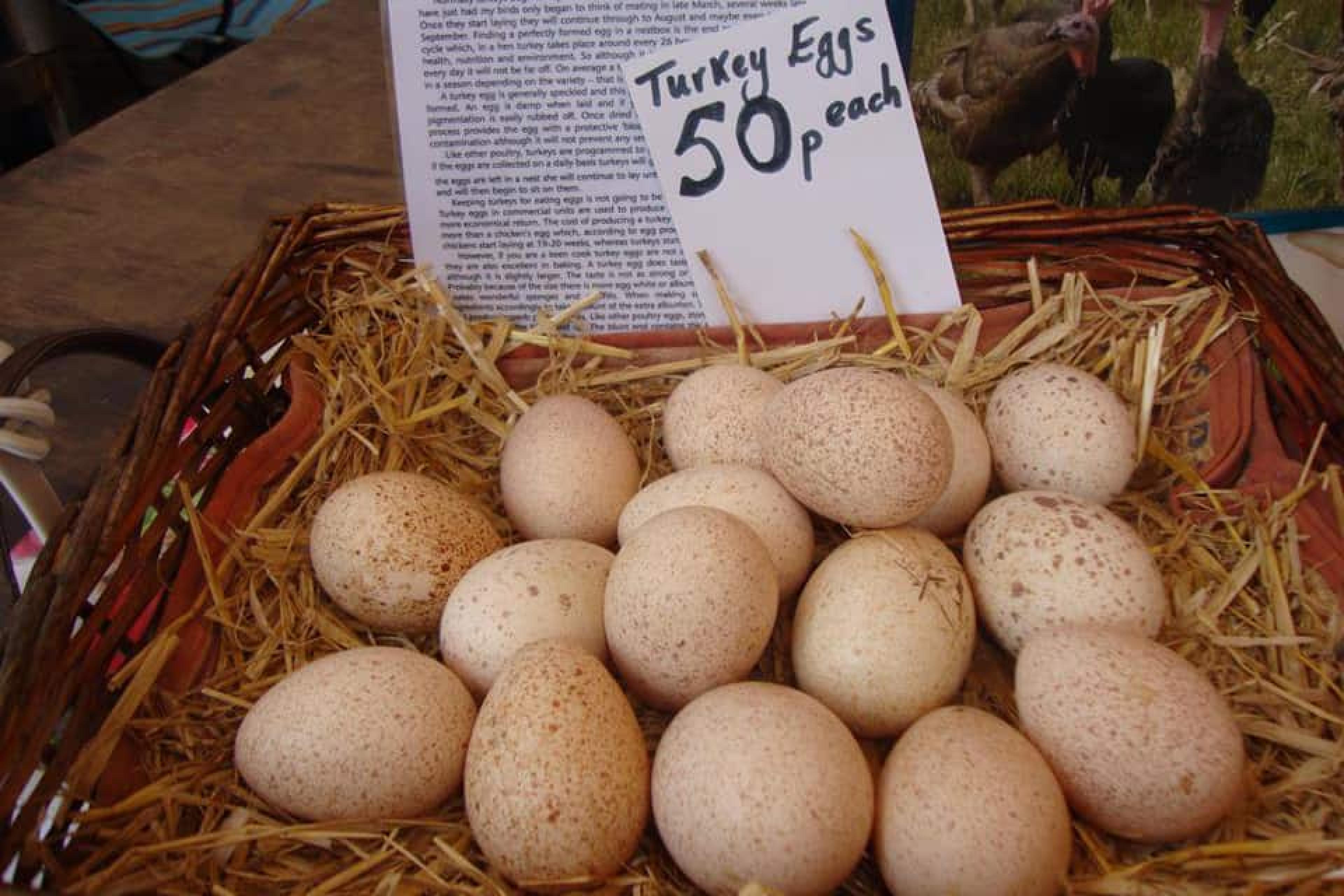 Eggs at Stroud Farmers’ Market, Cotswolds, England