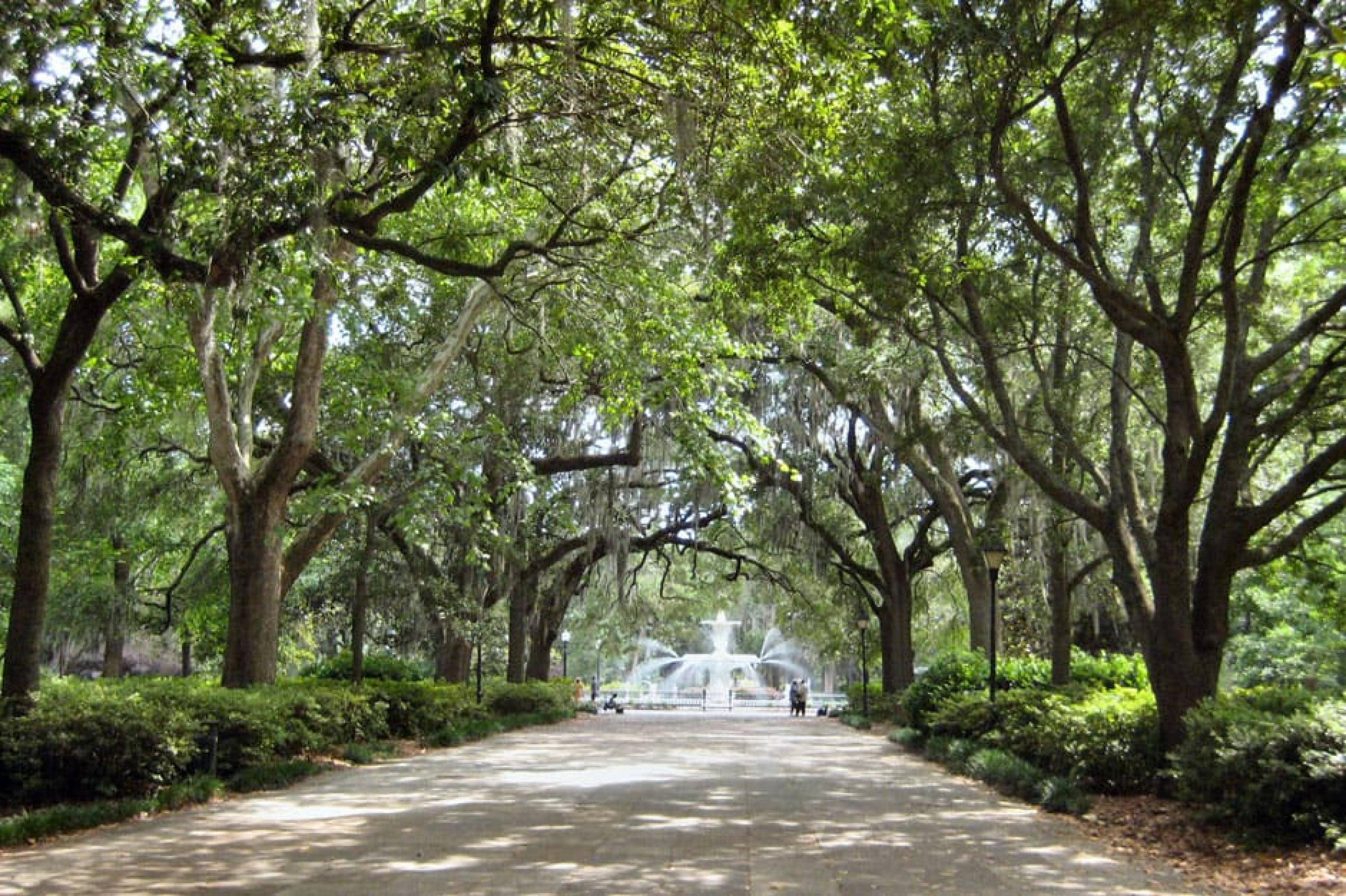 Aerial View - Forsyth Park,Savannah, American South - Courtesy J. Mier