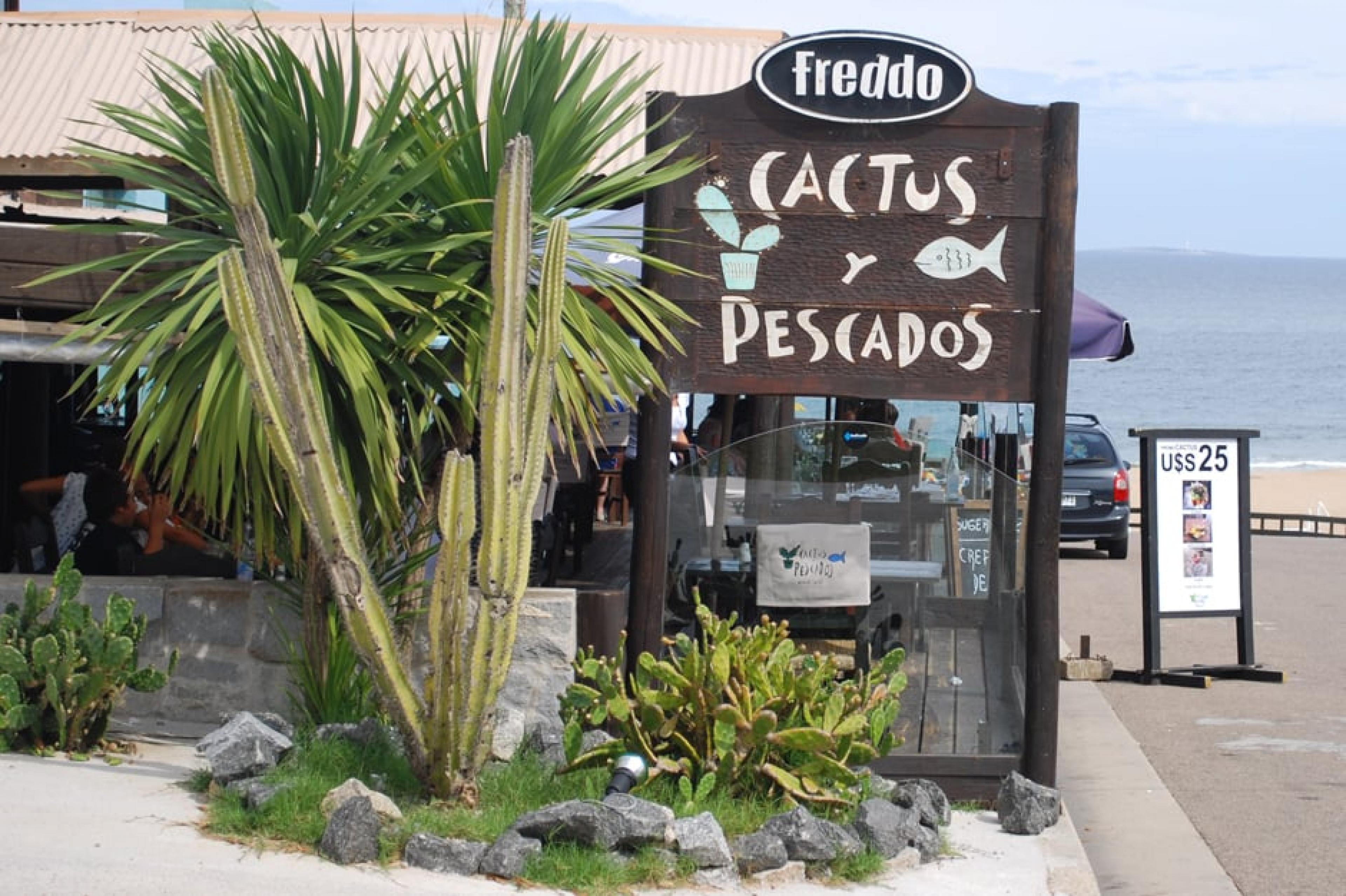 Exterior View -  Cactus y Pescado, José Ignacio, Uruguay, 