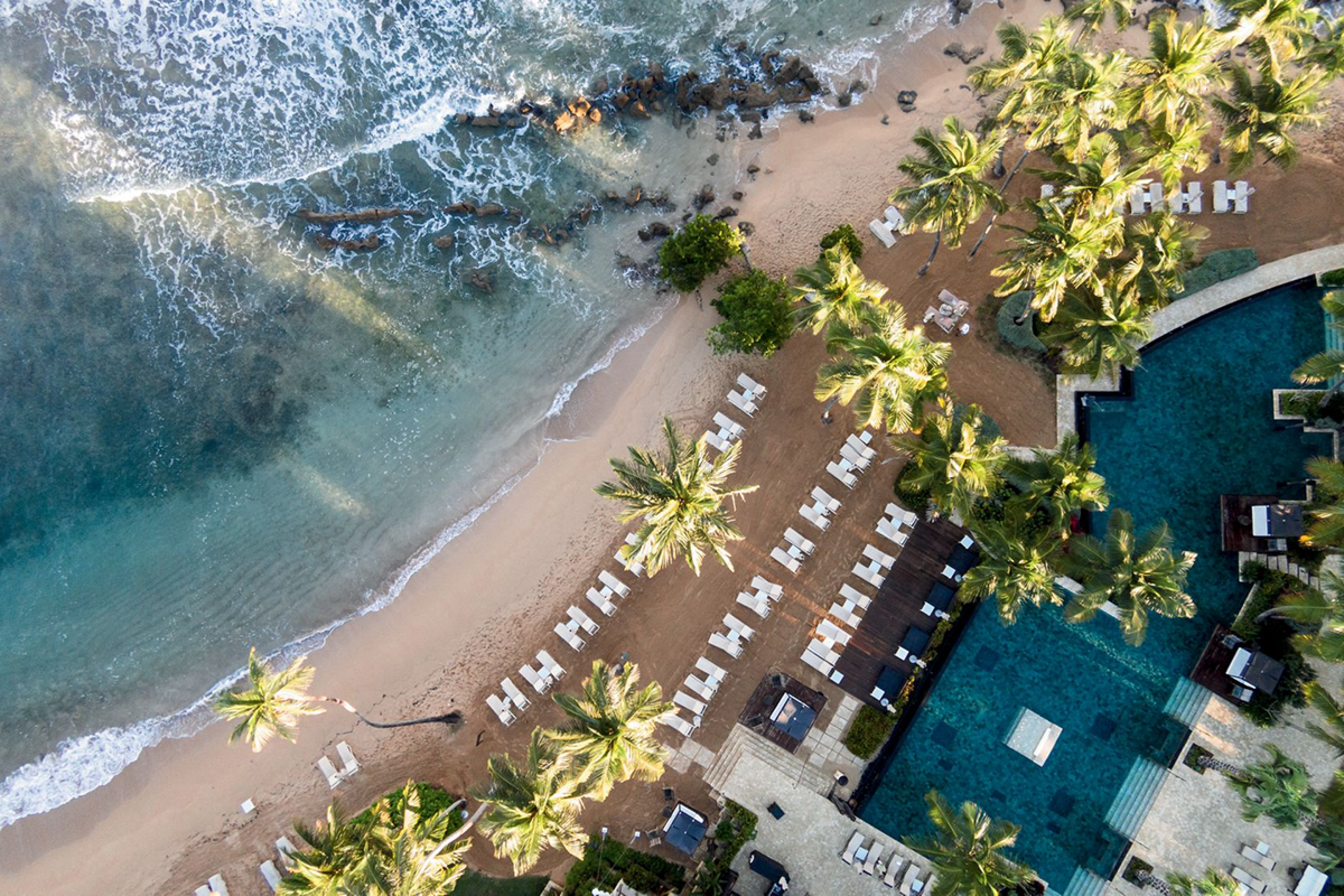 Aerial view of hotel pool and white umbrellas and lounge chairs on the beach