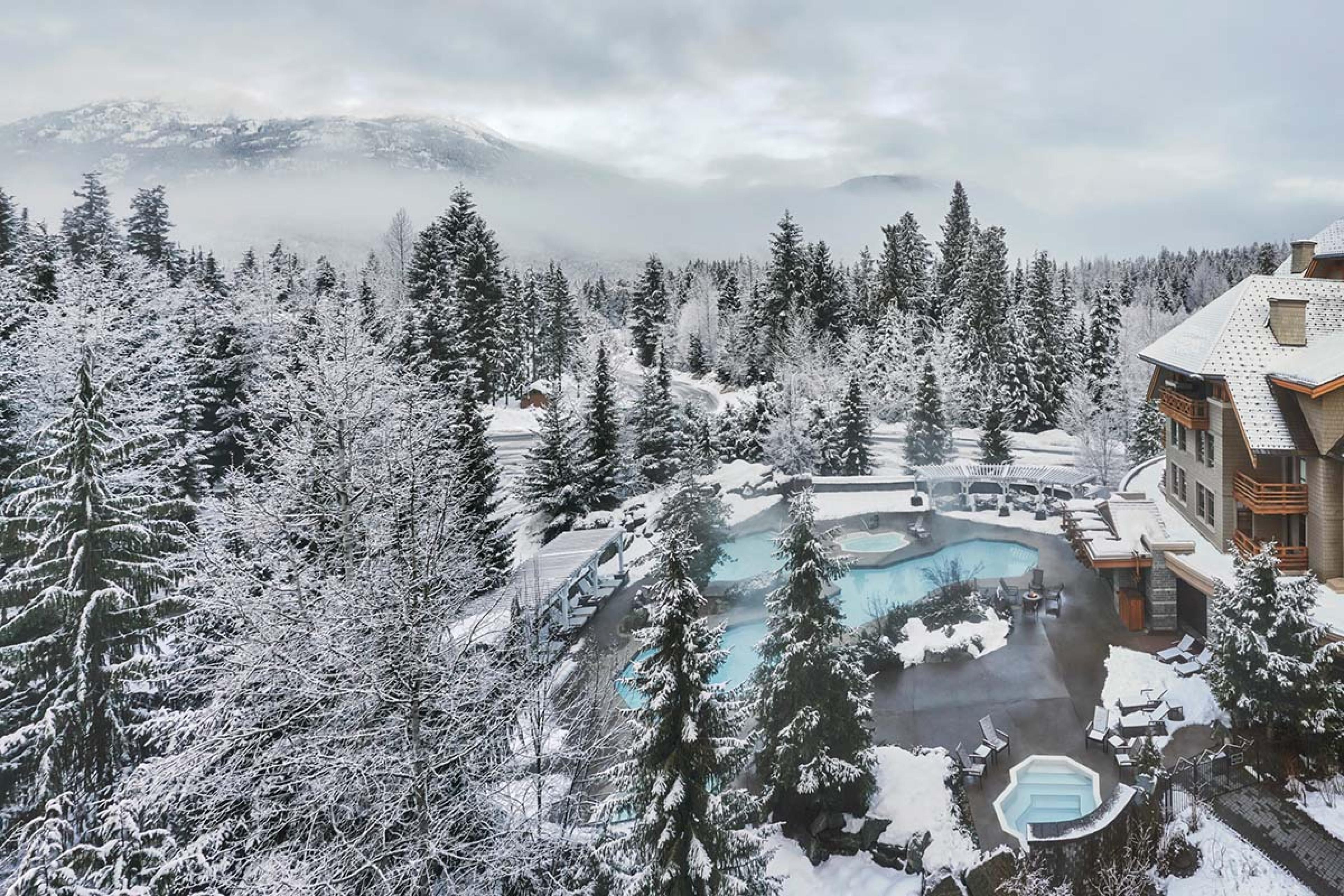 pool and hot tub surrounded by snowy trees