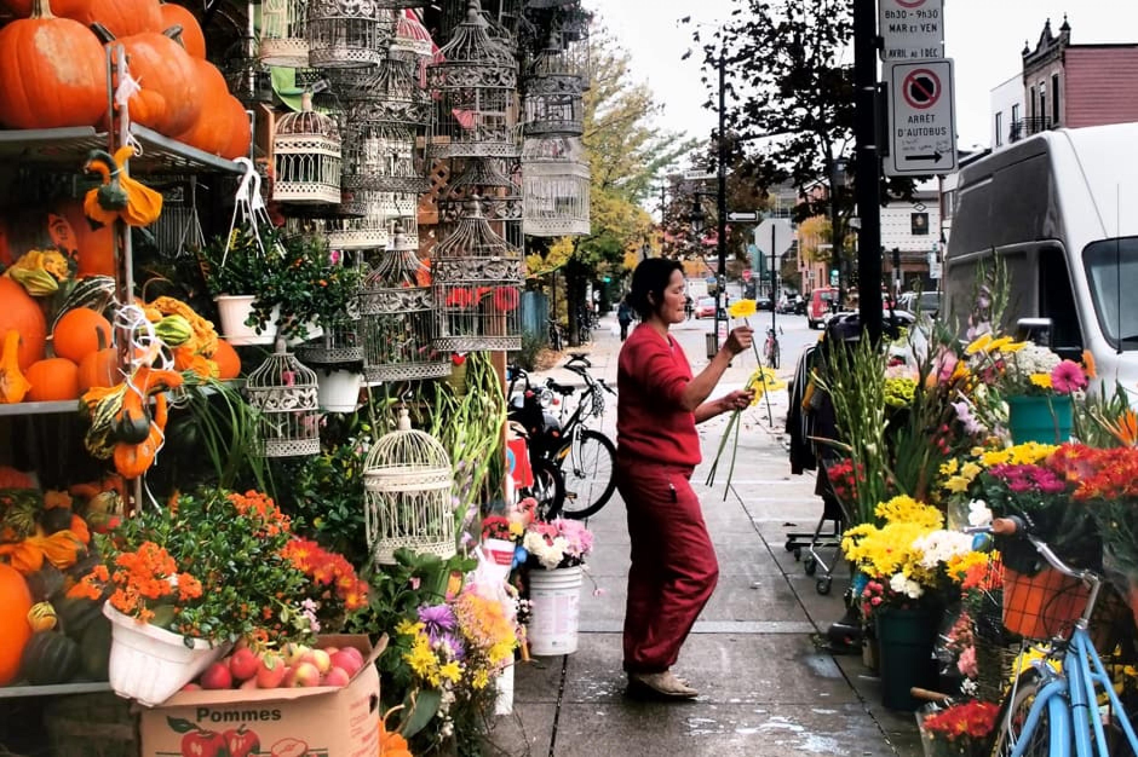 Flowers Stall at Indagare Tours: Mile End , Montreal, Canada - Courtesy Tourisme Montreal