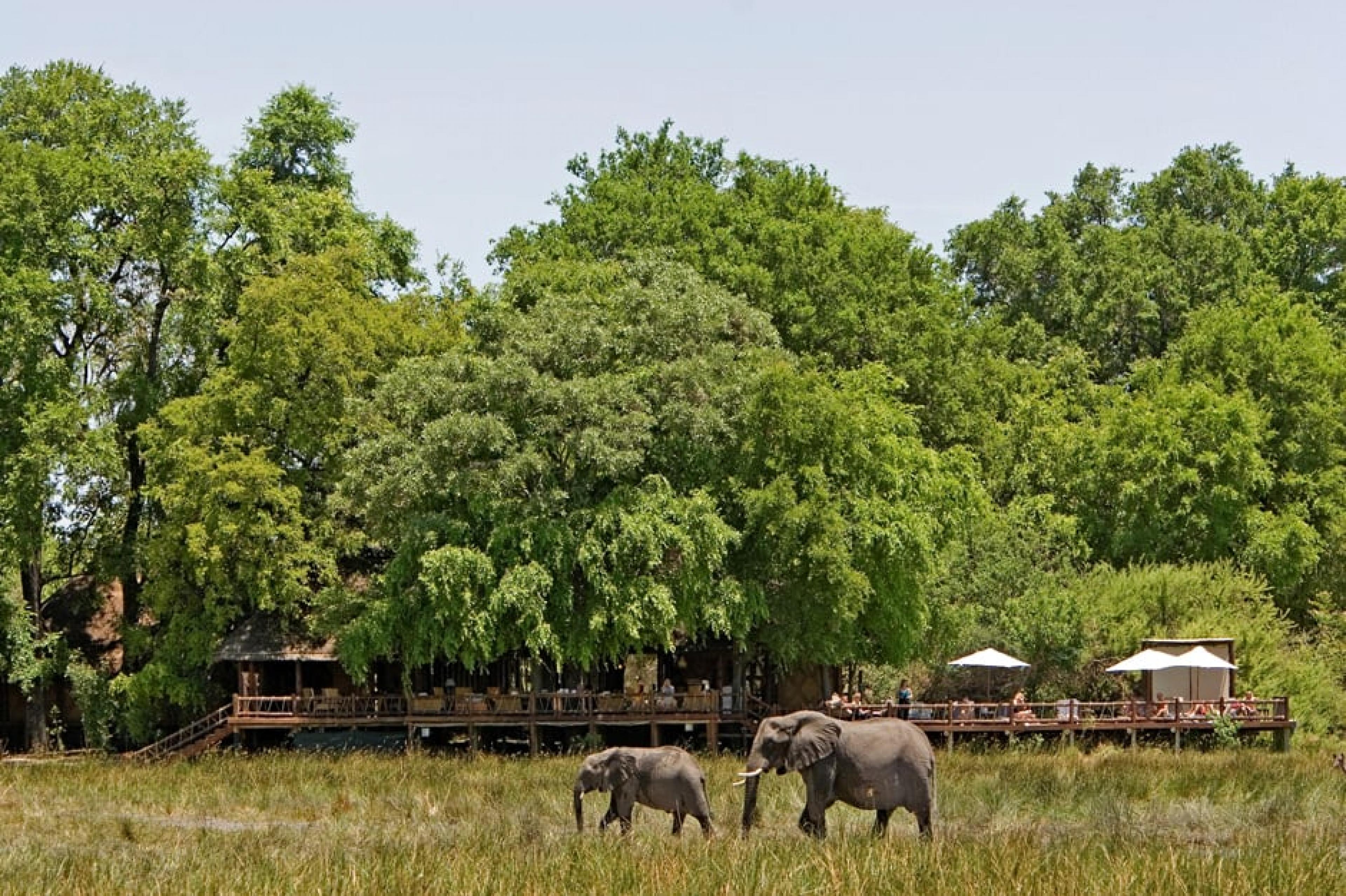 Stanley's Camp, Okavanga Delta, Botswana