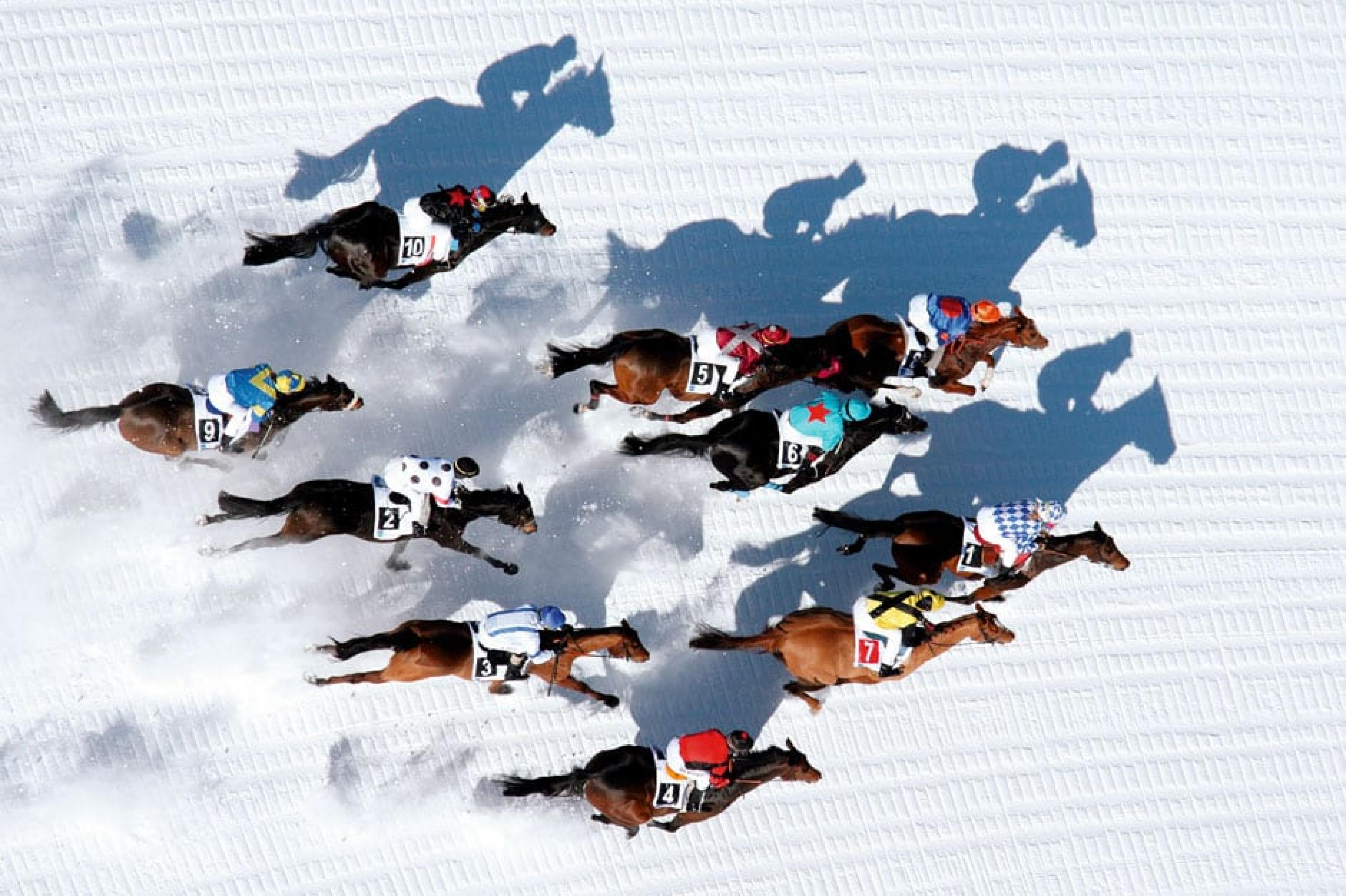 Horse Riding at Winter – White Turf , St. Moritz, Switzerland