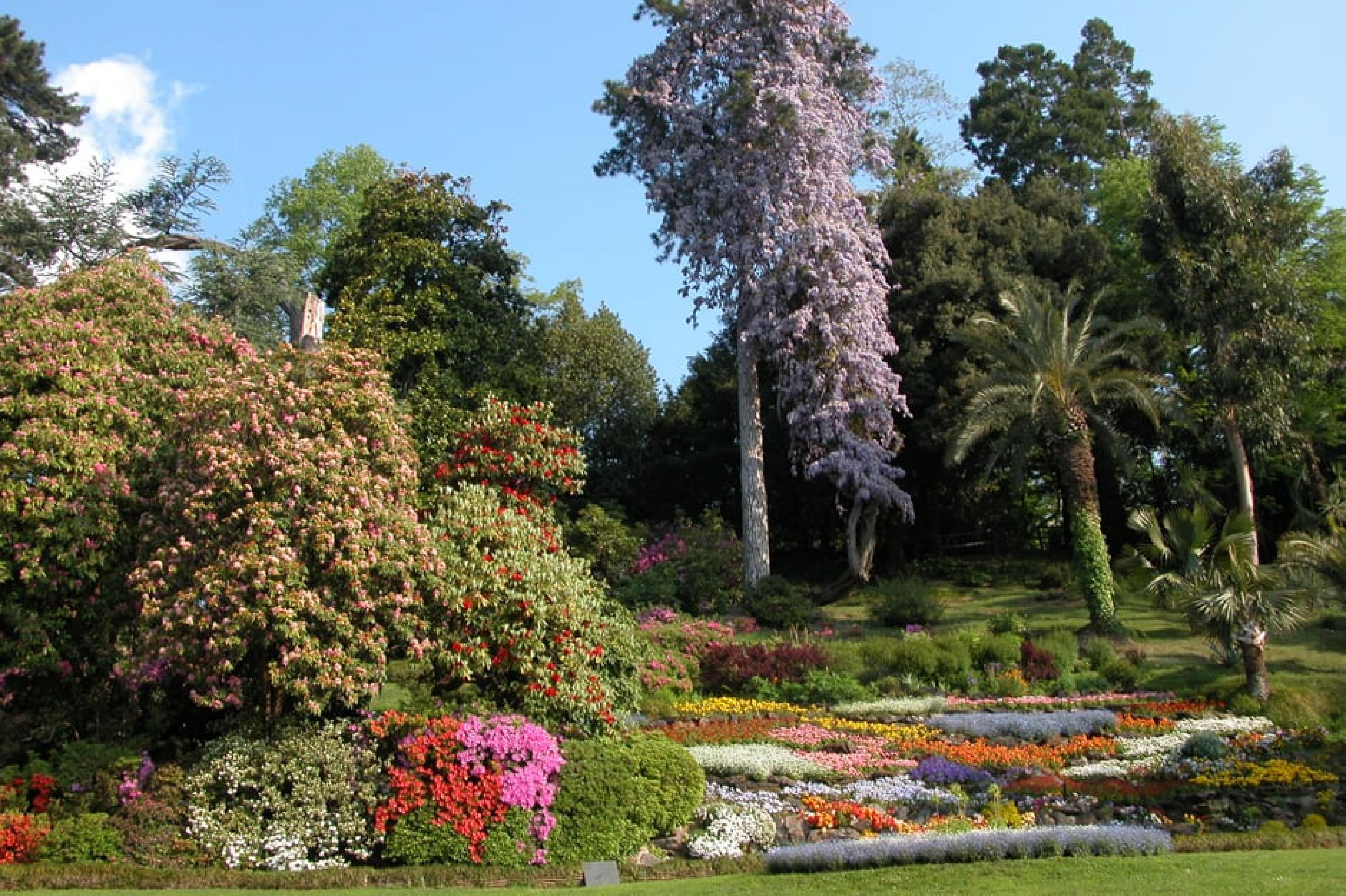 Garden at Villa Carlotta , Lake Como, Italy