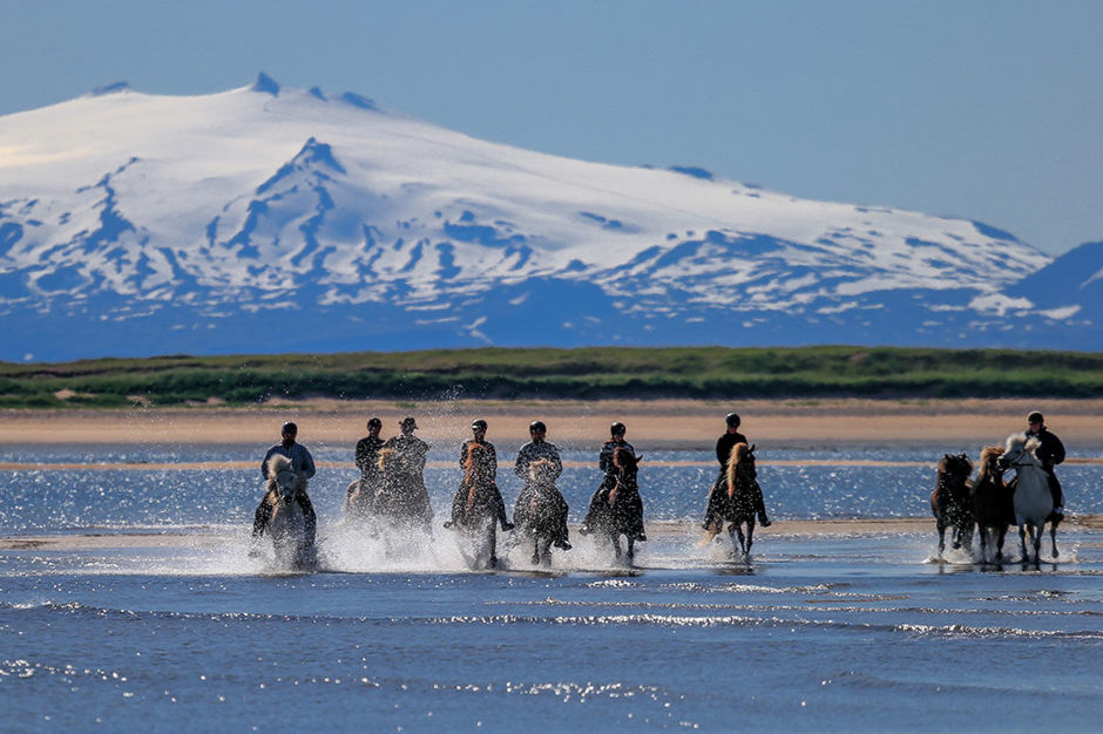 Iceland - Icelandic Horses ,Iceland - Courtesy The Official Gateway to Iceland