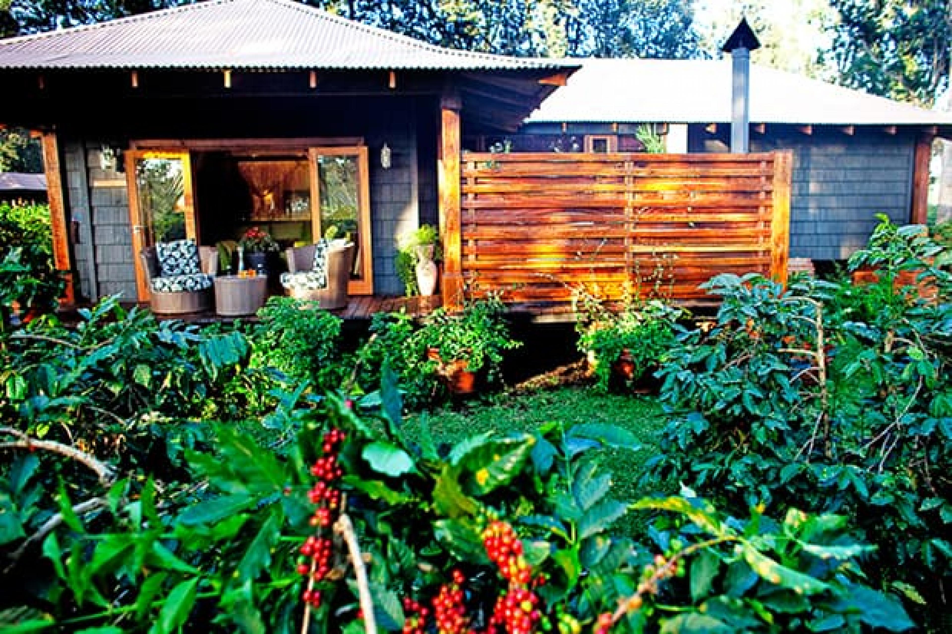 Garden at Arusha Coffee Lodge, Tanzania