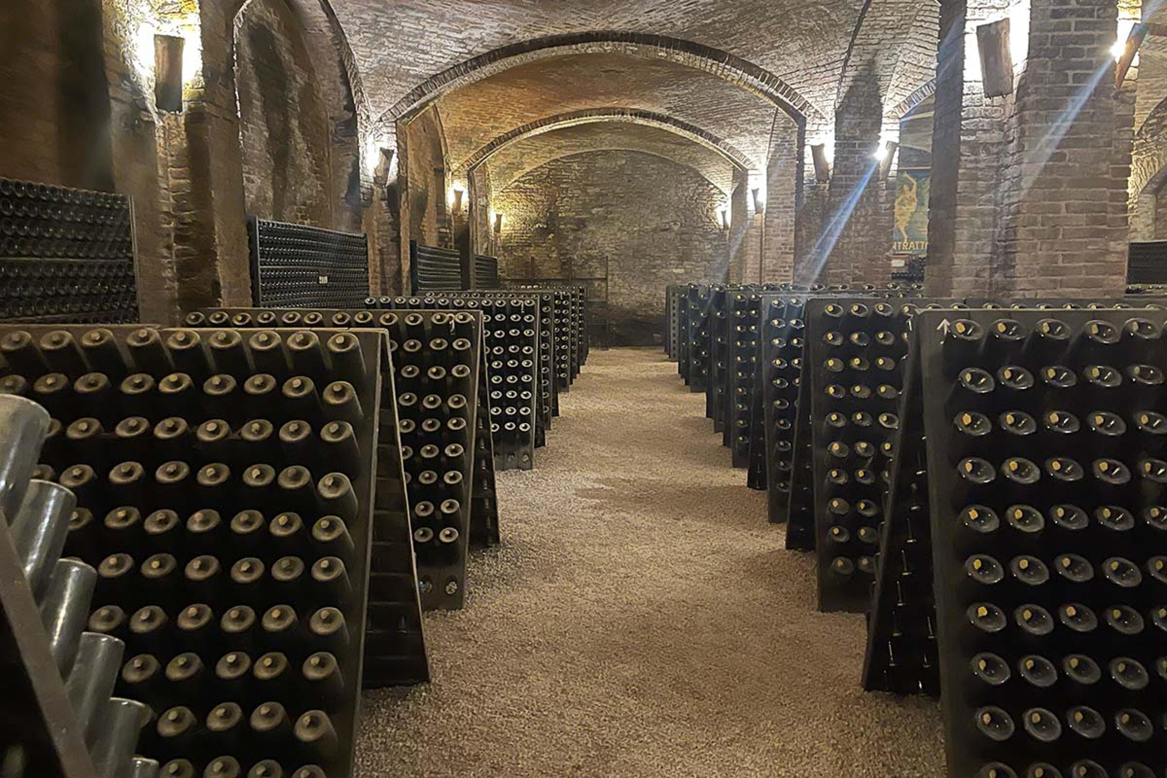 rows of wine bottles