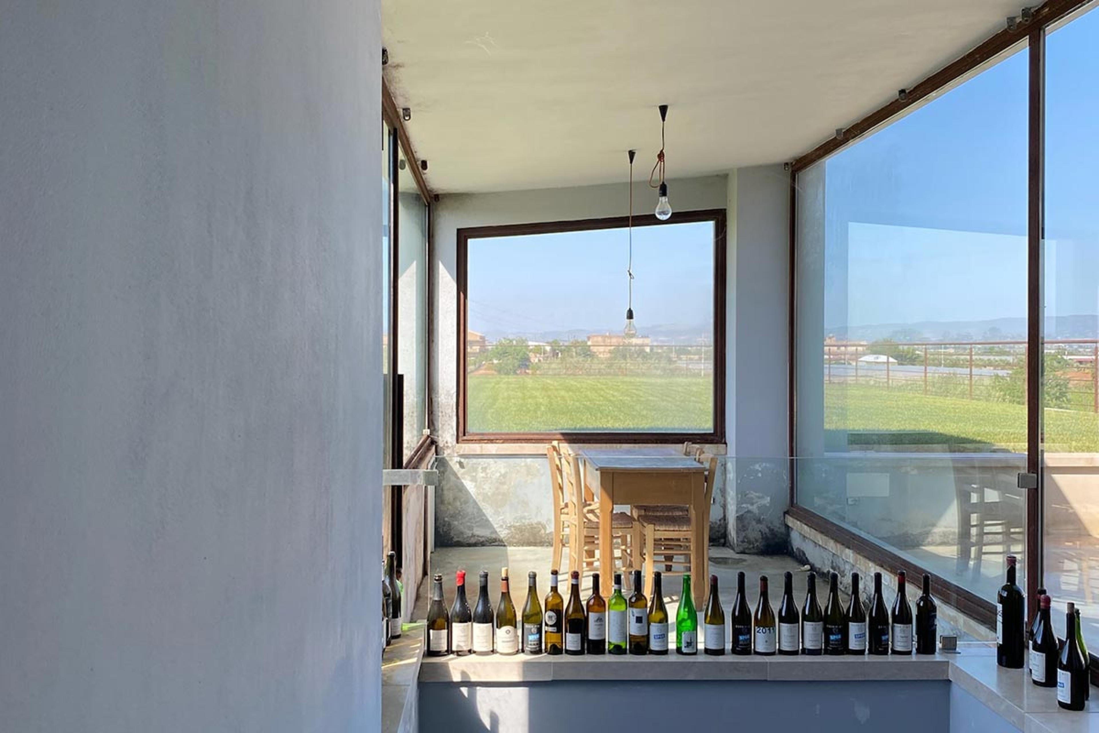 view from inside contemporary white building with wine bottles on shelf and windows looking to greenery outside