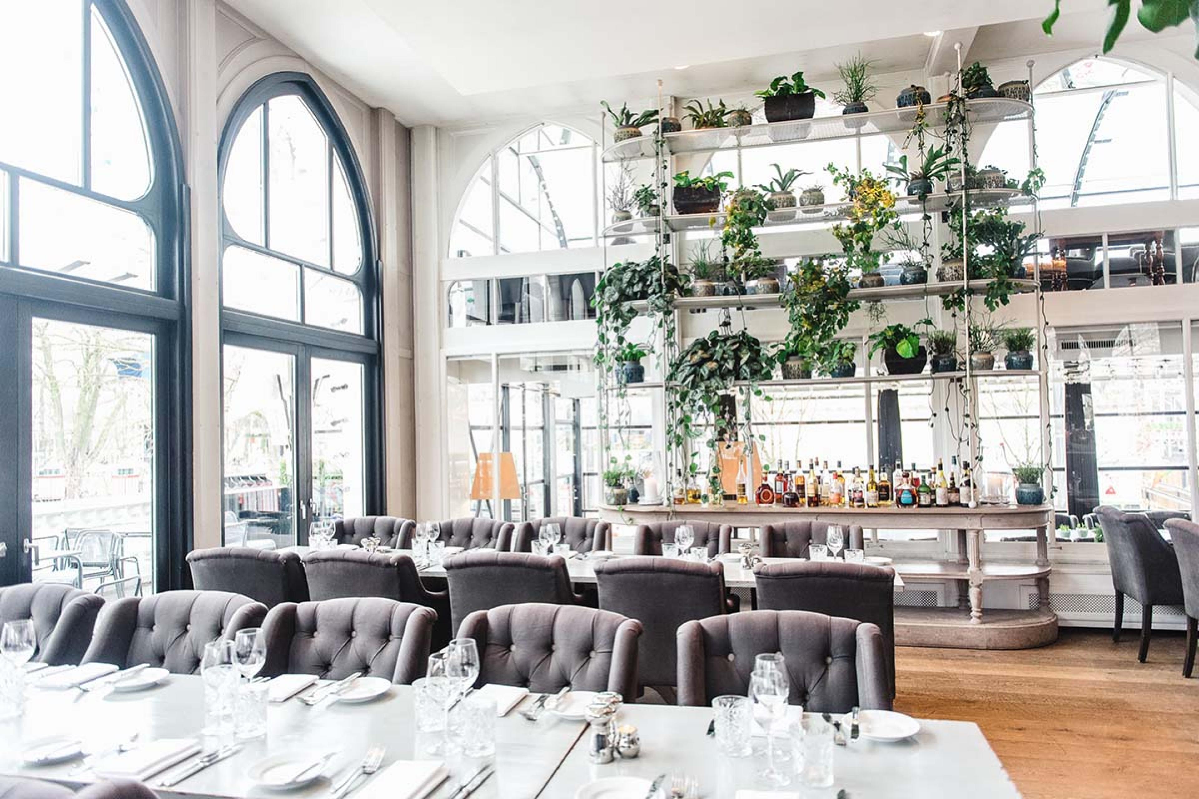 airy dining room with plants on the shelves above a bar