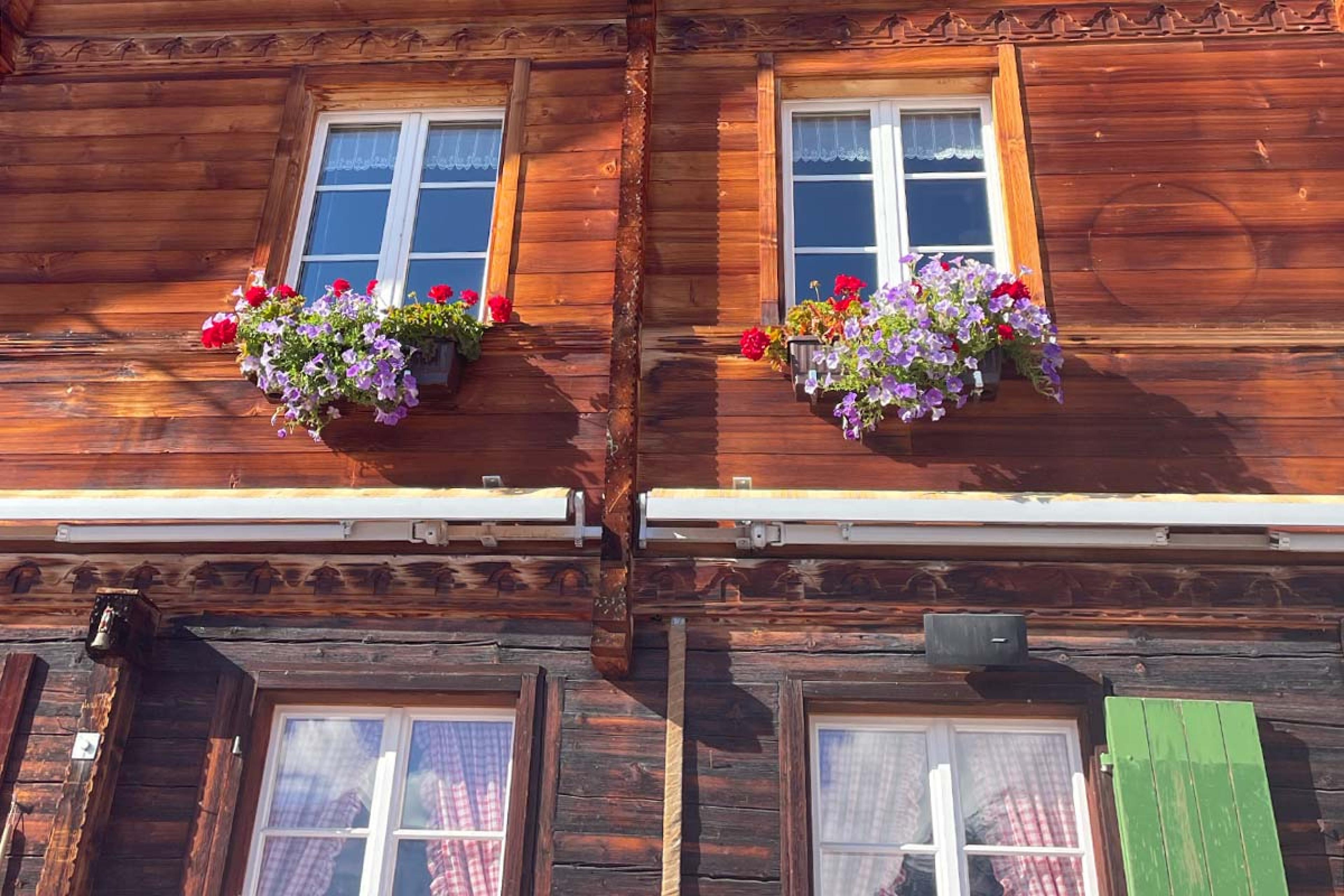 wooden building with colorful flower boxes and green shutters