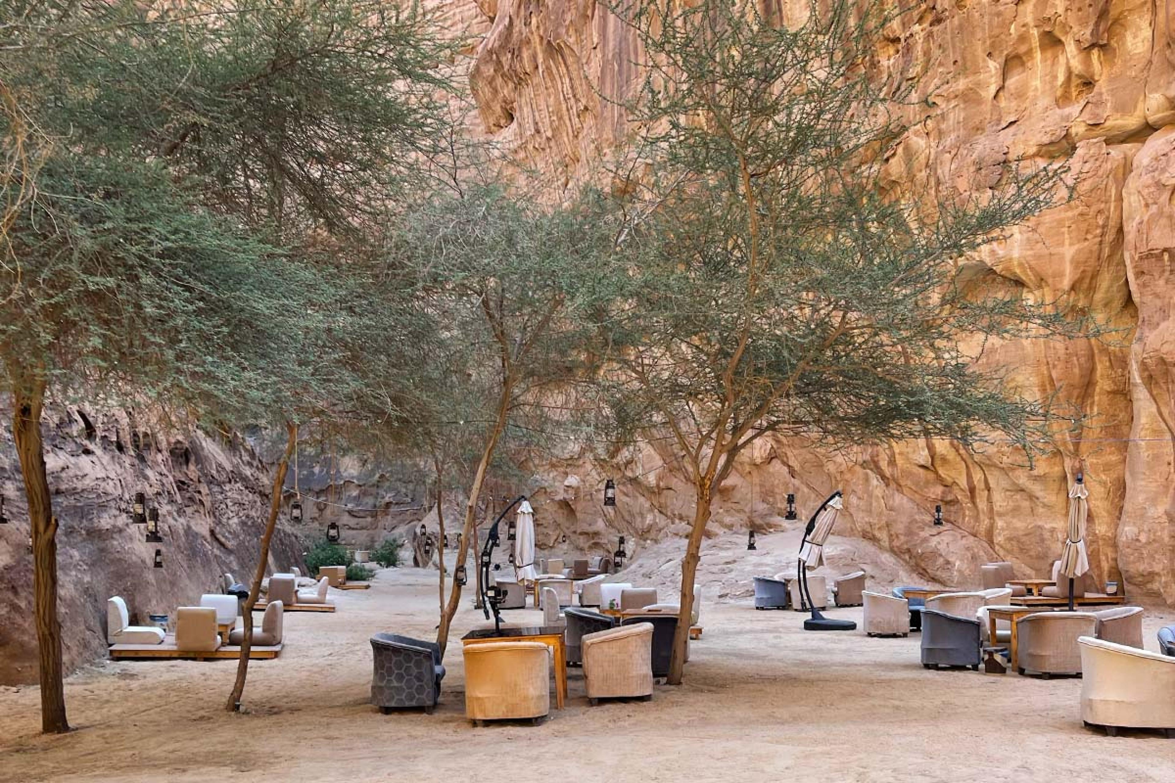 outdoor seating with trees in the middle of a canyon