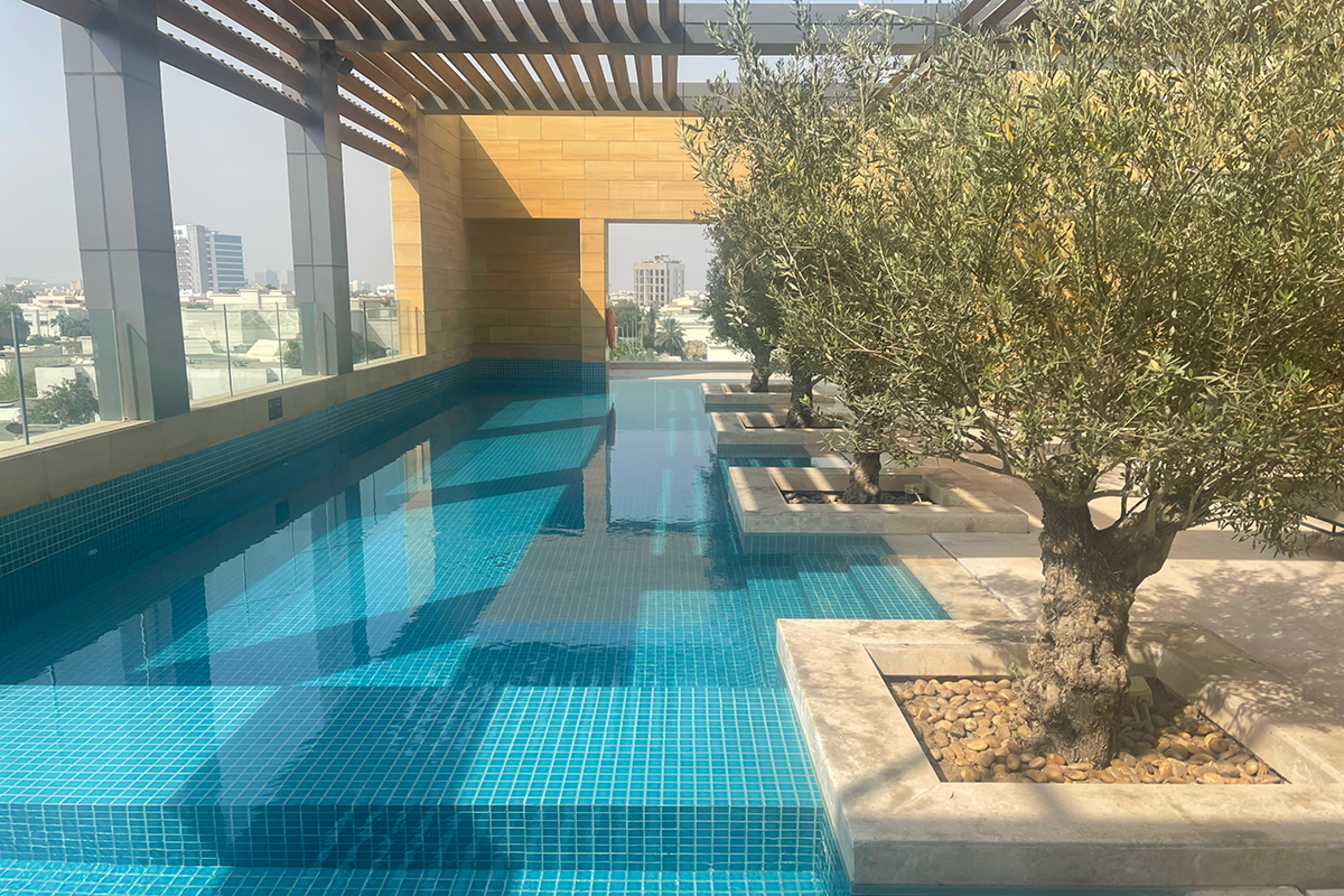 pool lined with olive trees and windows looking over a city