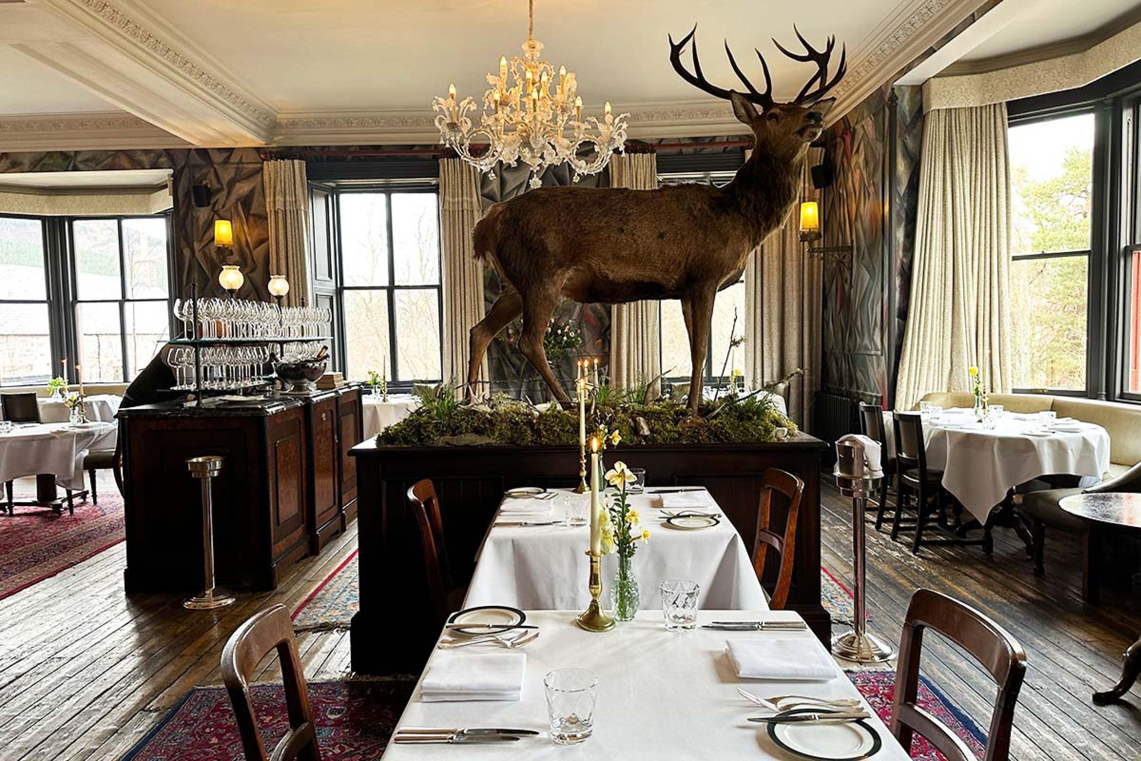 dining room with a taxidermy deer and a crystal chandelier