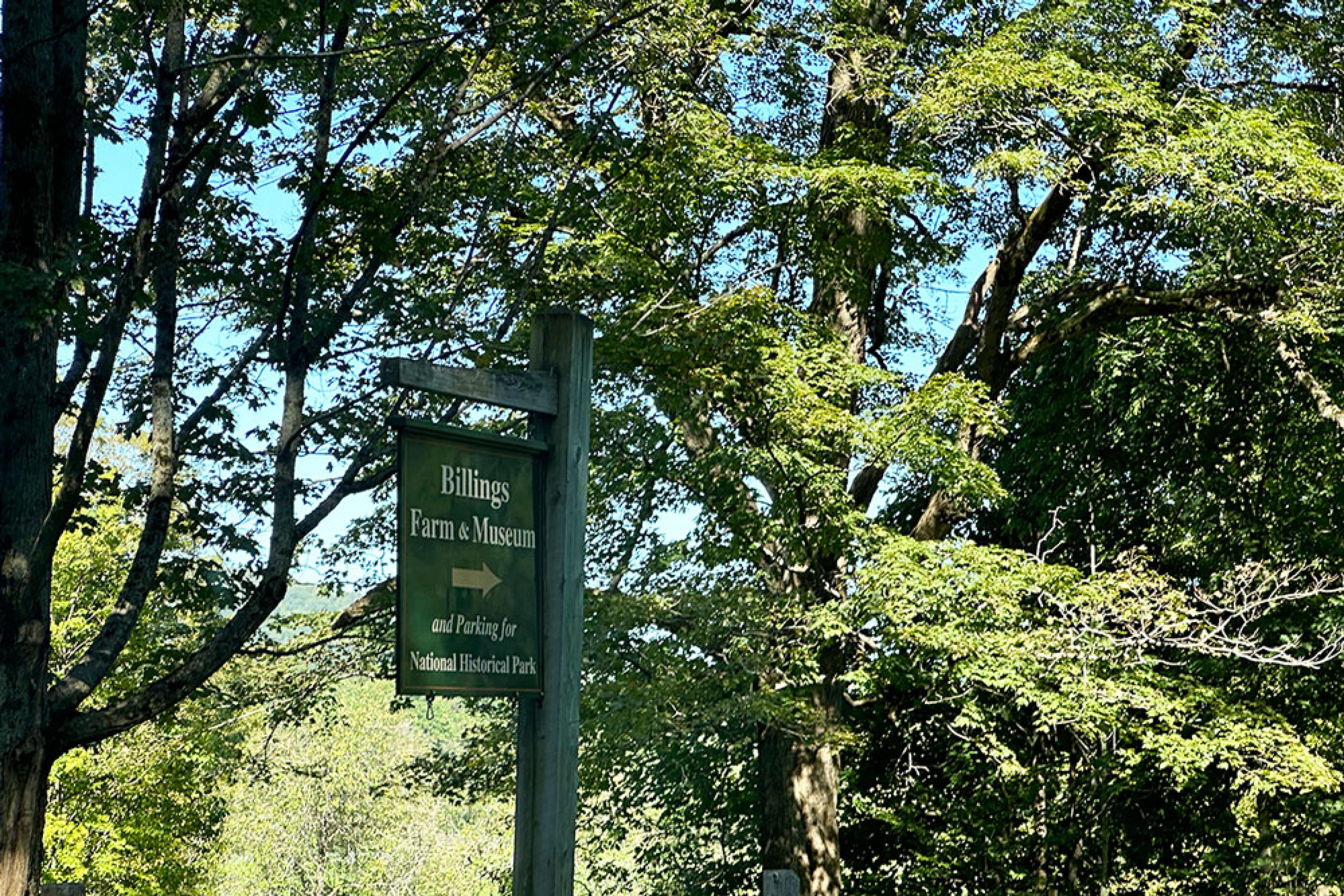 green wooden sign saying billings farm in the woods