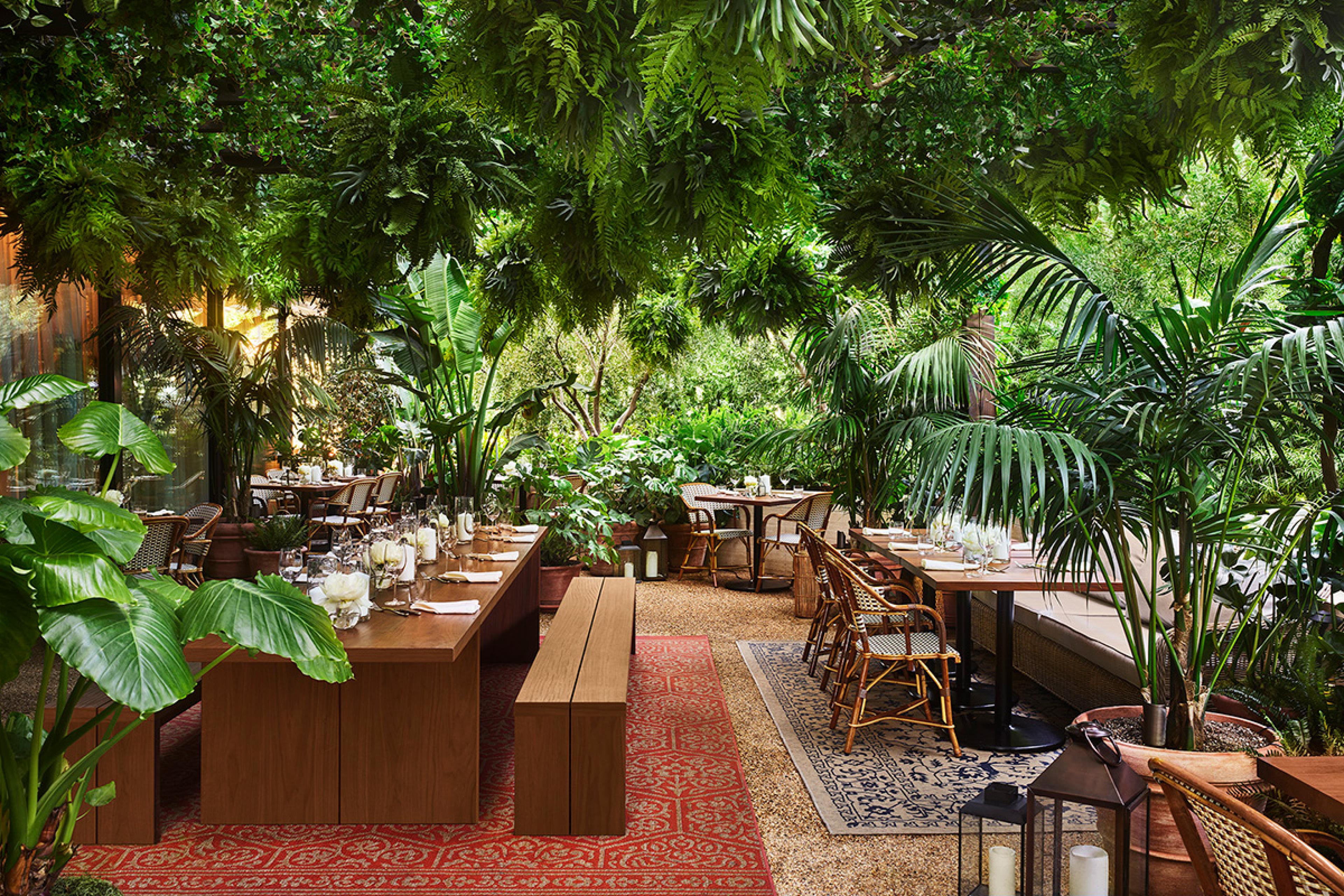 restaurant with lots of plants