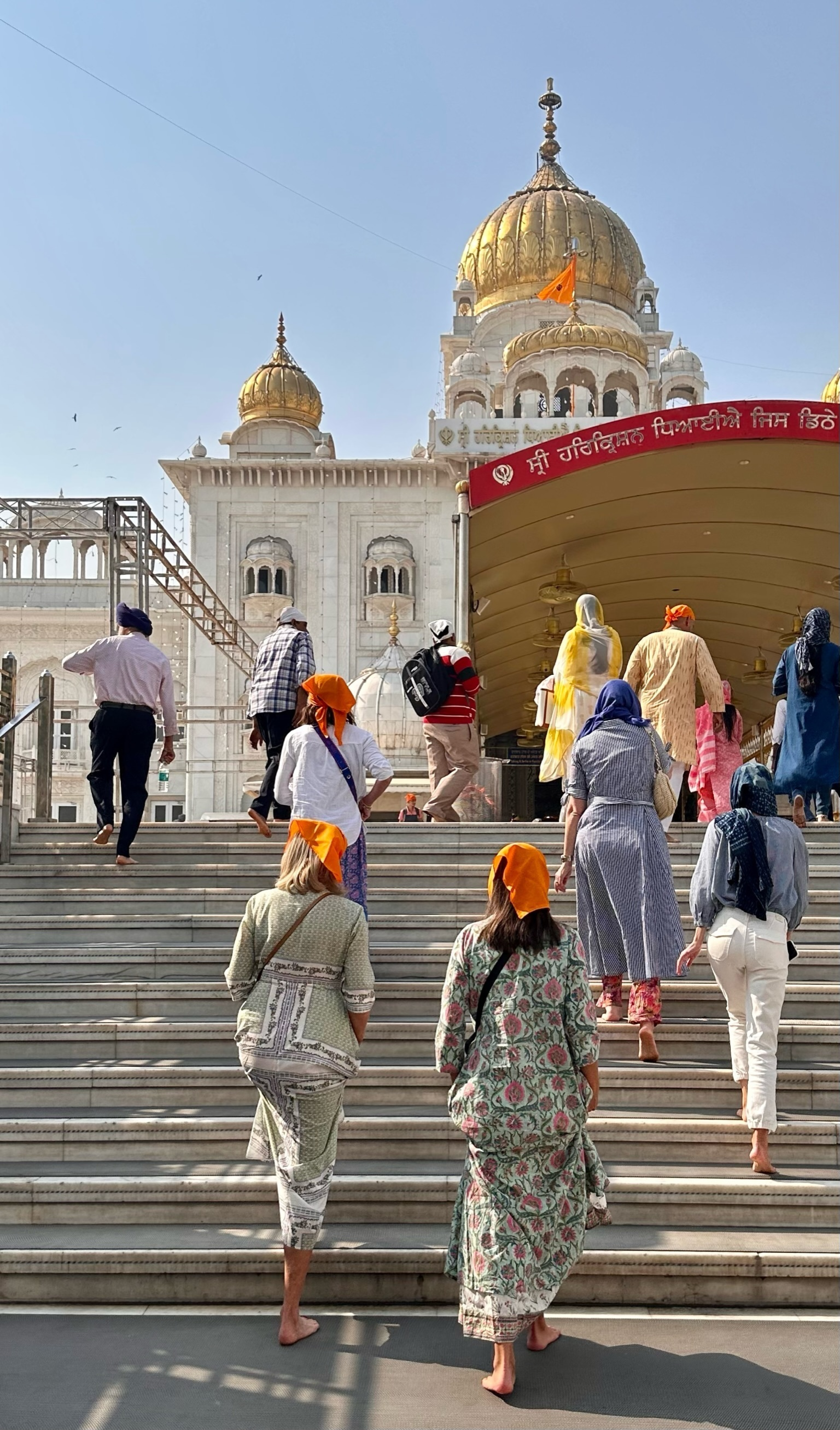 Indagare employees walking up stiars