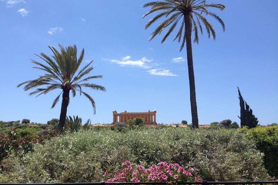 Greek ruins and palm trees in Sicily, Italy
