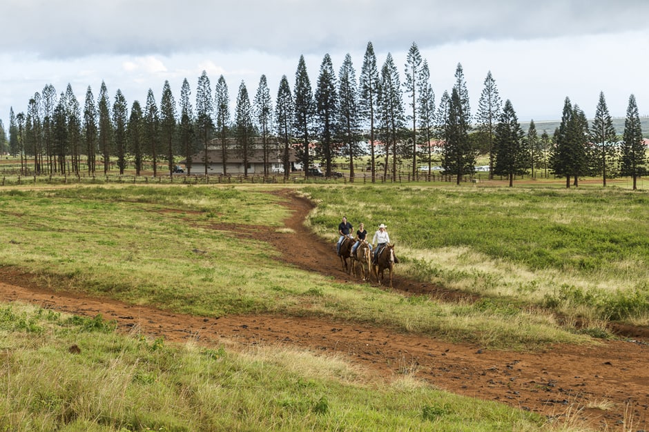 Horseback riders on trail near Courtesy Four Seasons Lodge at Koele in Hawaii