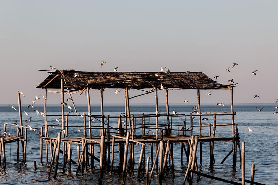 Old dock with seagulls in Comporta Portugal
