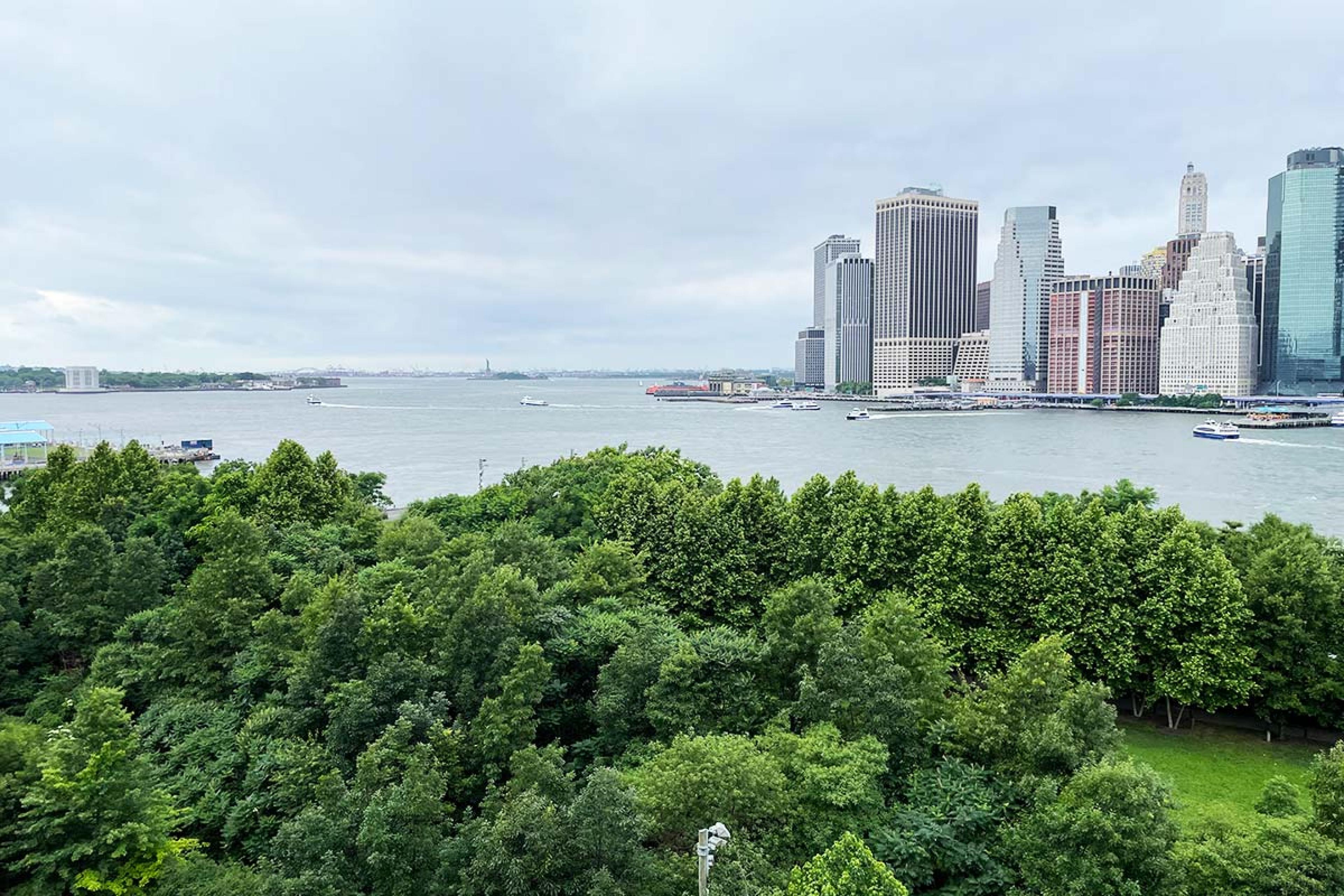 view over many trees in a park to water and lower manhattan skyline and statue of liberty