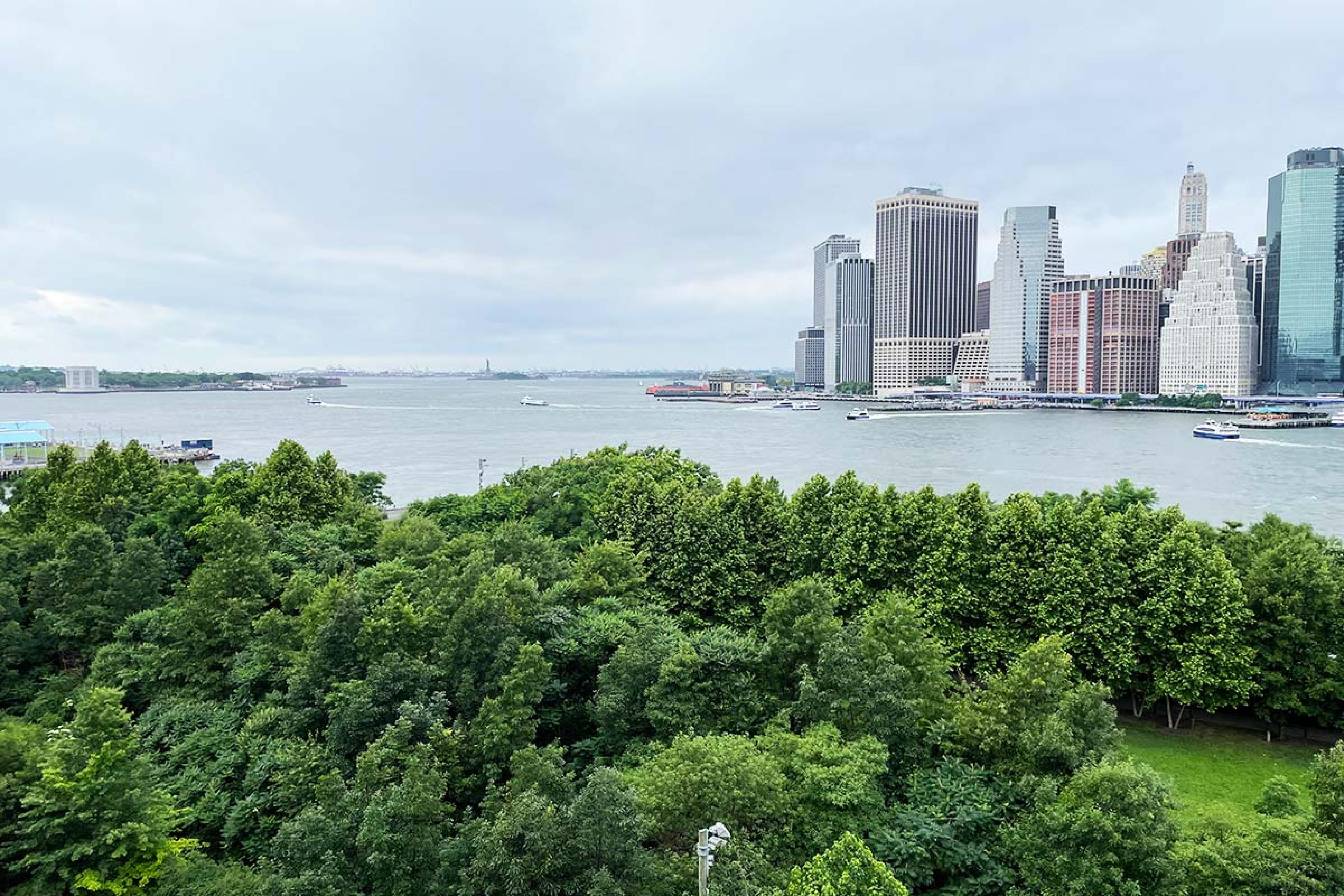 view over many trees in a park to water and lower manhattan skyline and statue of liberty