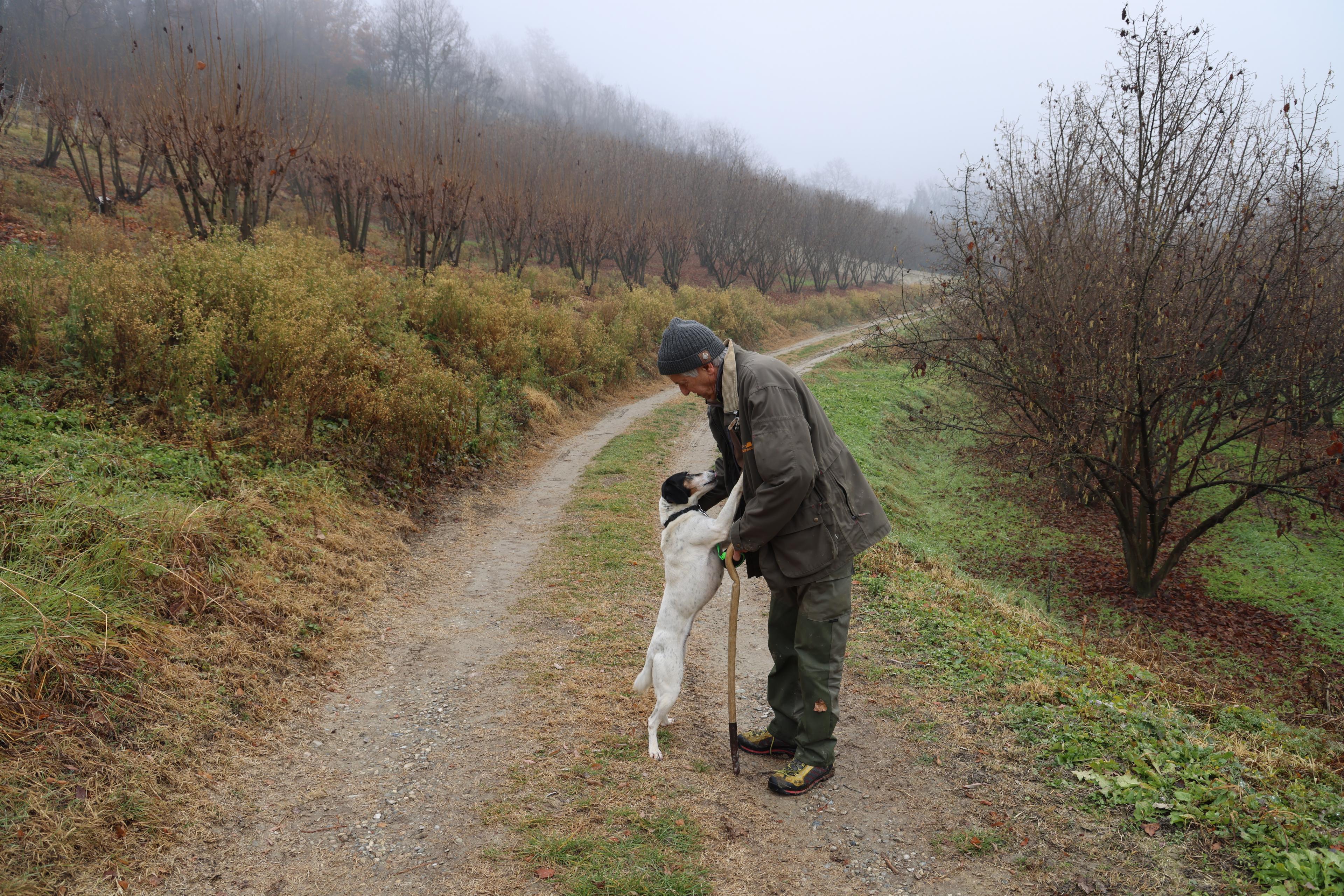 Truffle hunter and his dog on a dirt path in Piedmont, Italy