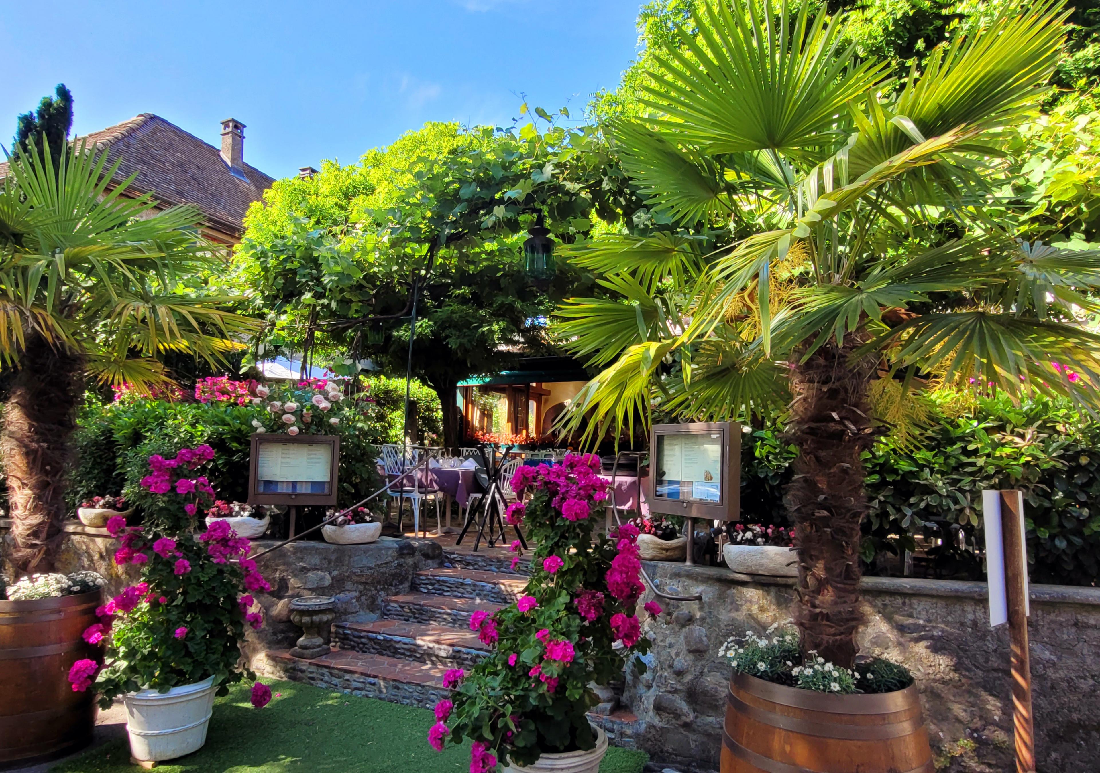 garden of a restaurant on a summer day with blue sky
