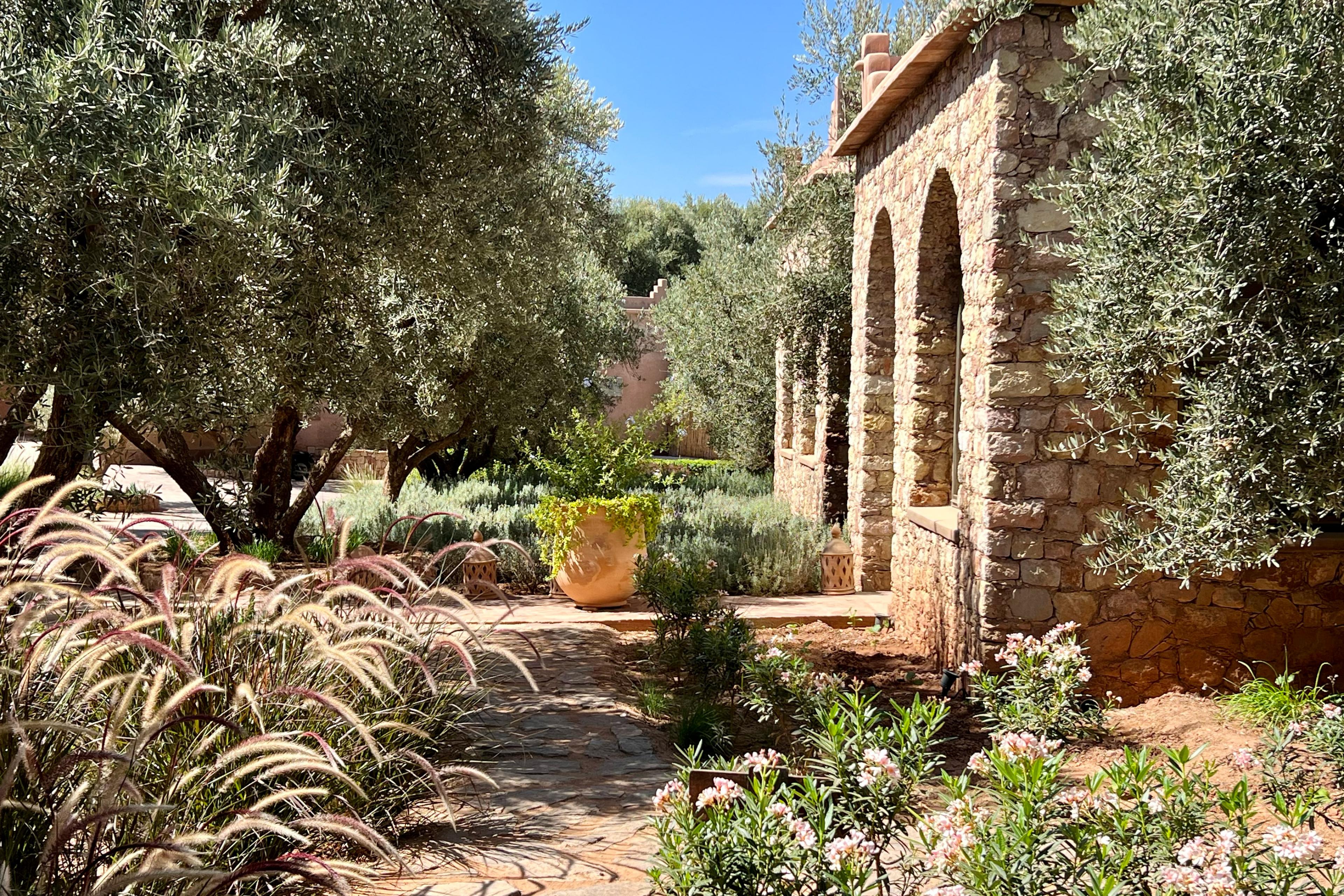 desert garden with stone arched walls