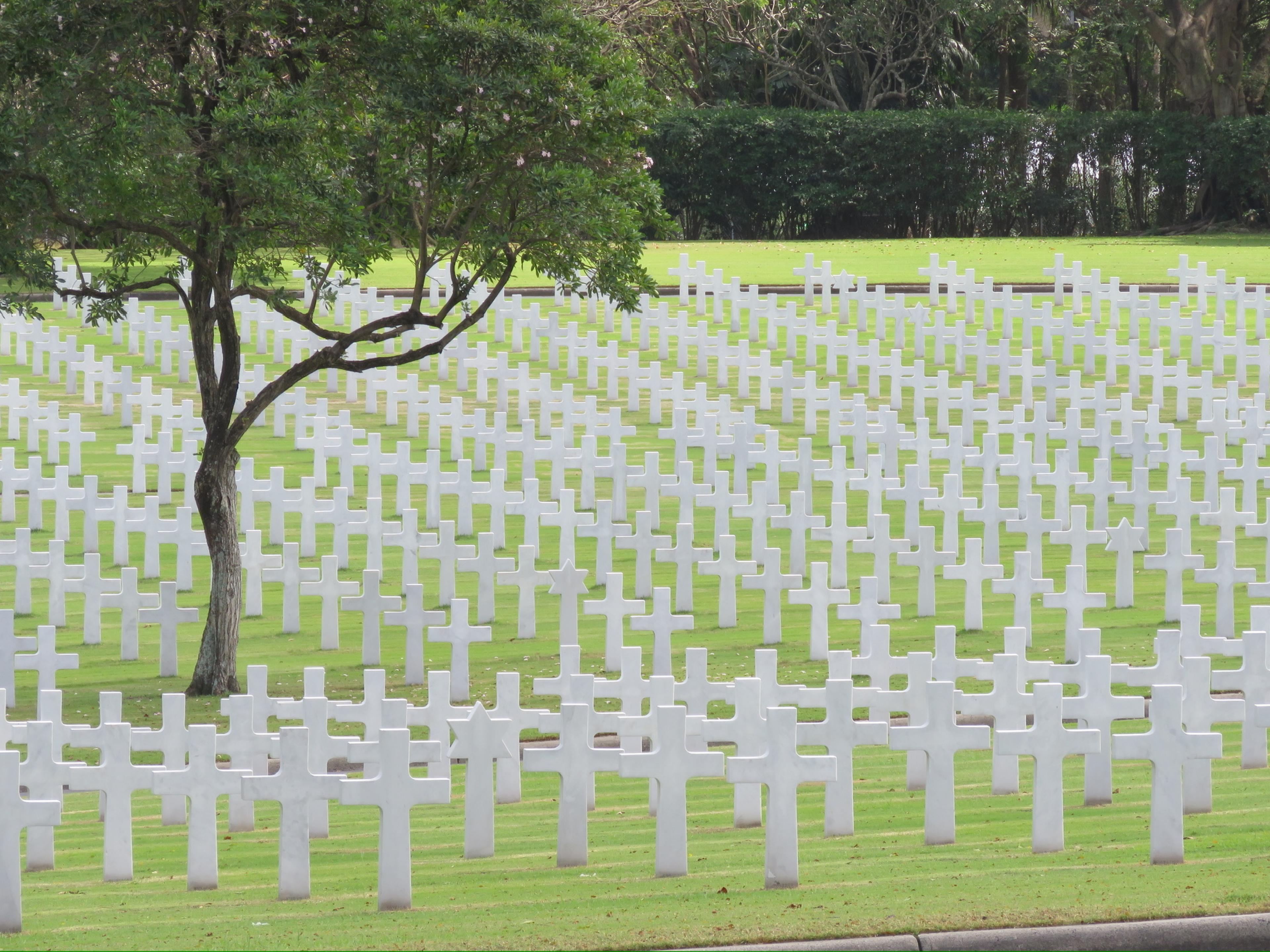 view of a military cemetery with hundreds of simple white crosses