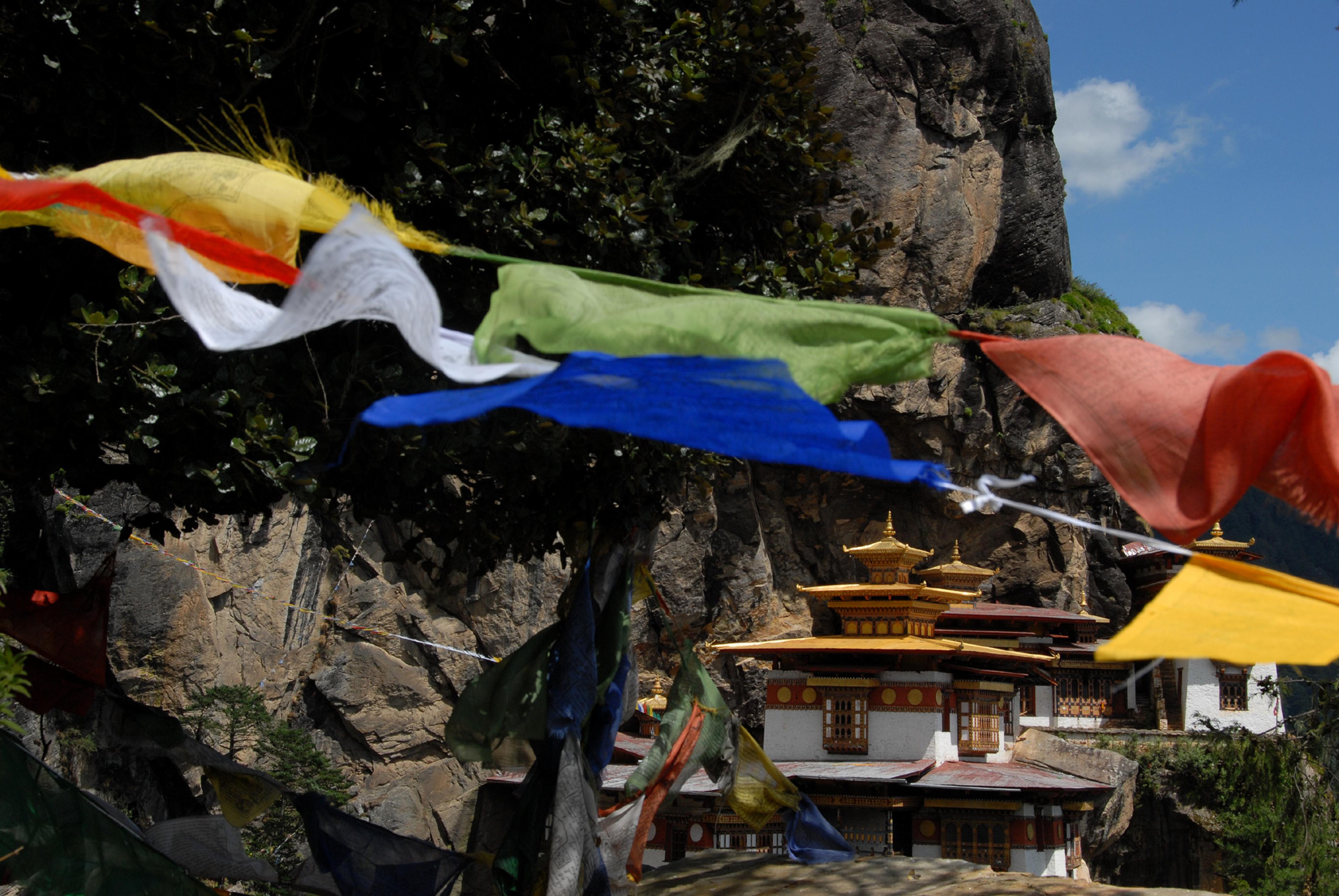 red, yellow, white and blue flags strung up on a hiking path to a buddhist temple