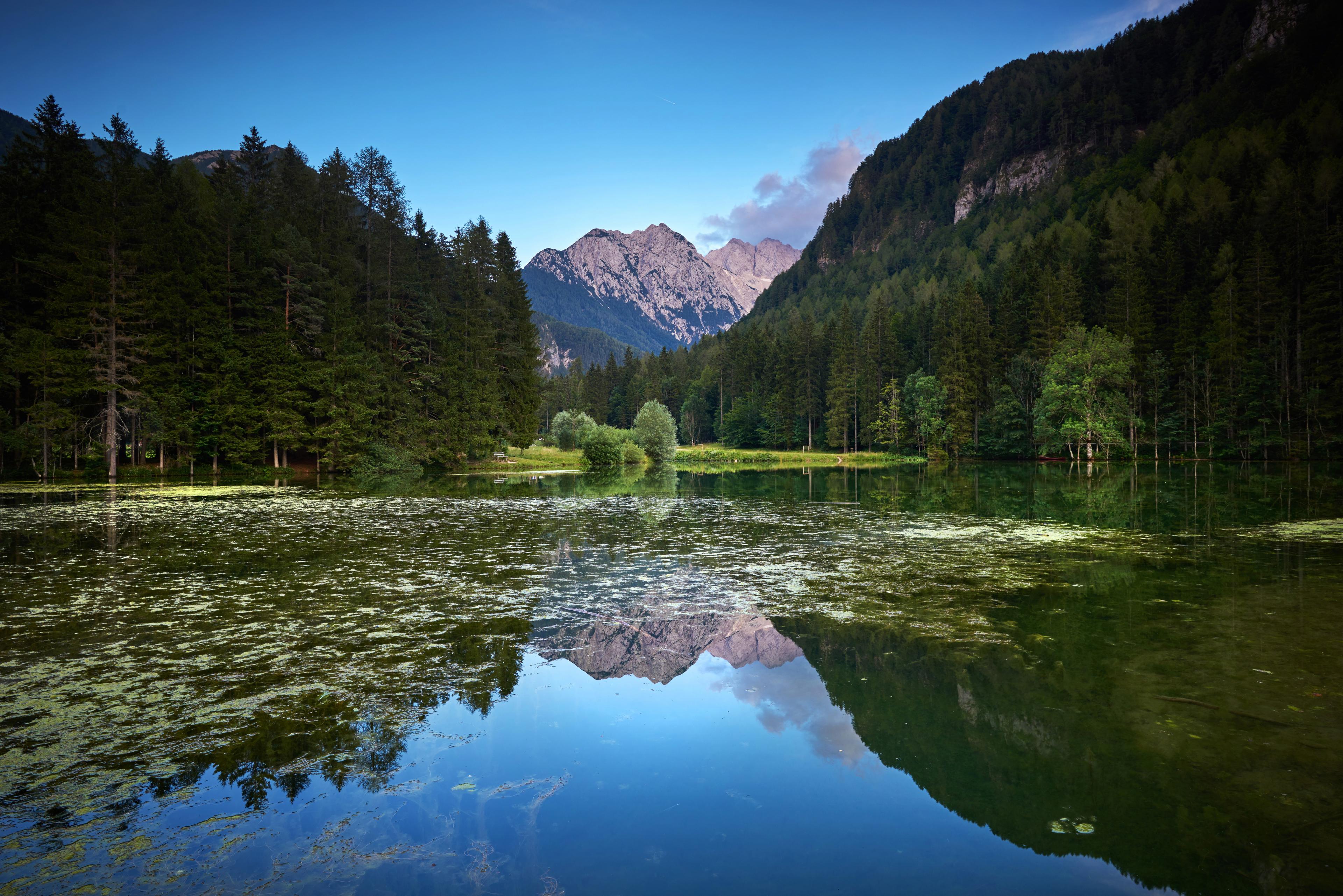 Lake reflecting mountains and green fir trees