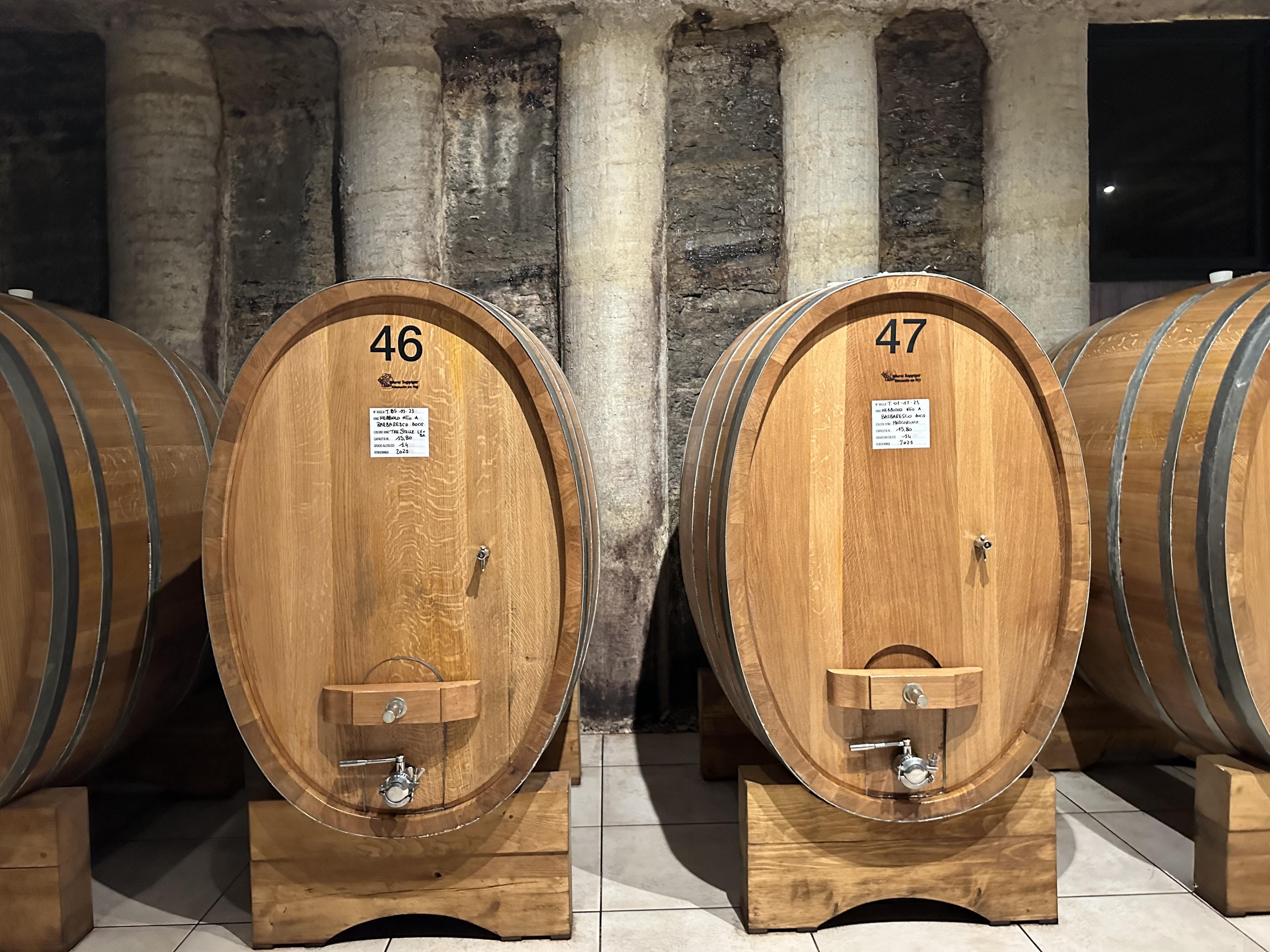 Wine Barrels in an Italian winery