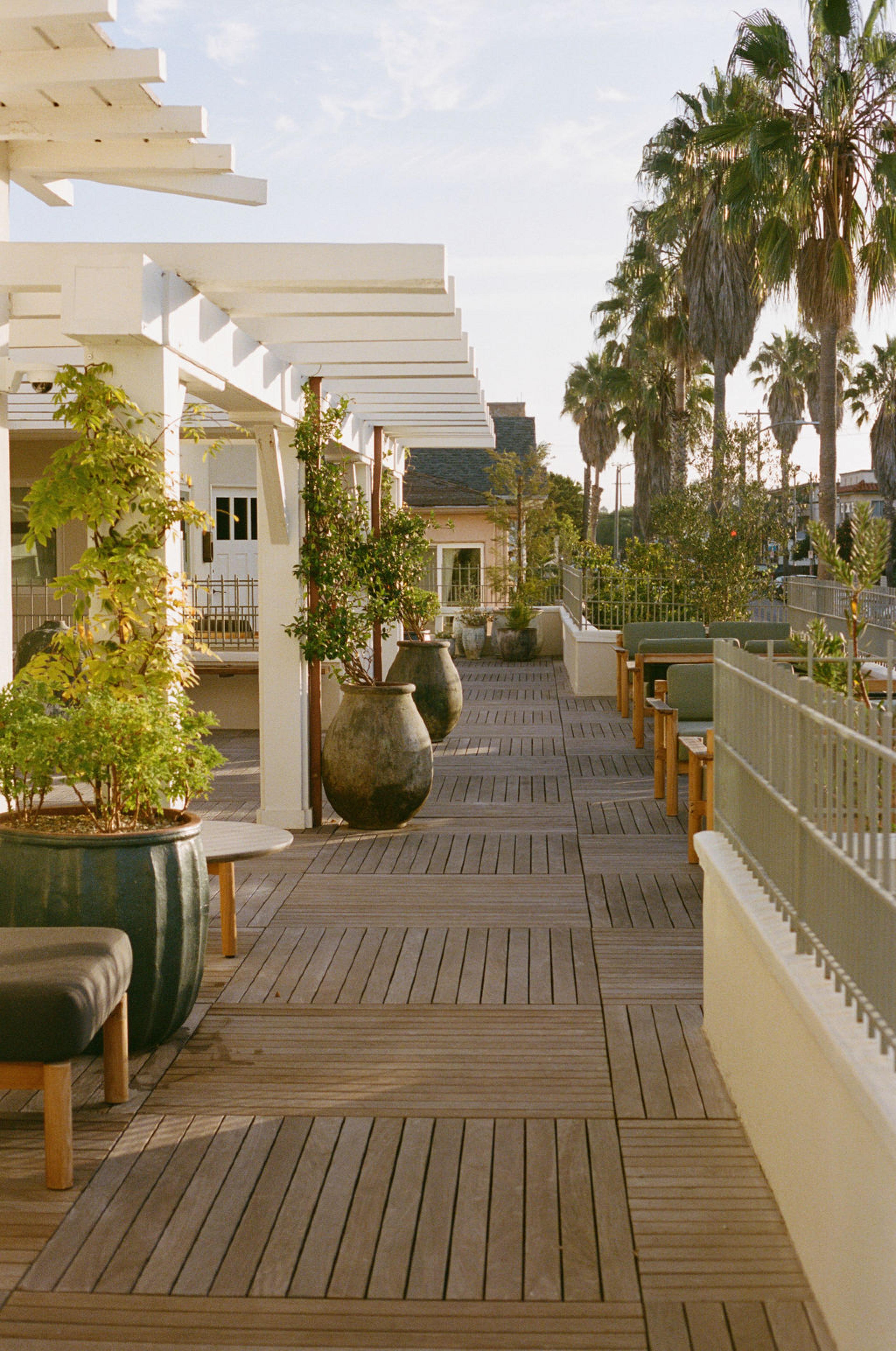 hotel rooftop with wooden floor and plantings in planter boxes and palm trees in a line to the right of rooftop